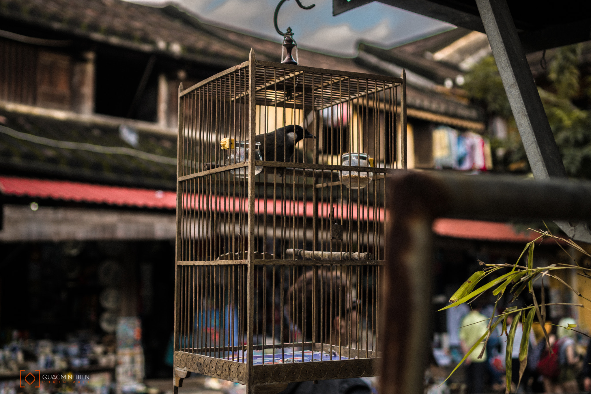 Sony E 35mm F1.8 OSS sample photo. Hoi an () photography