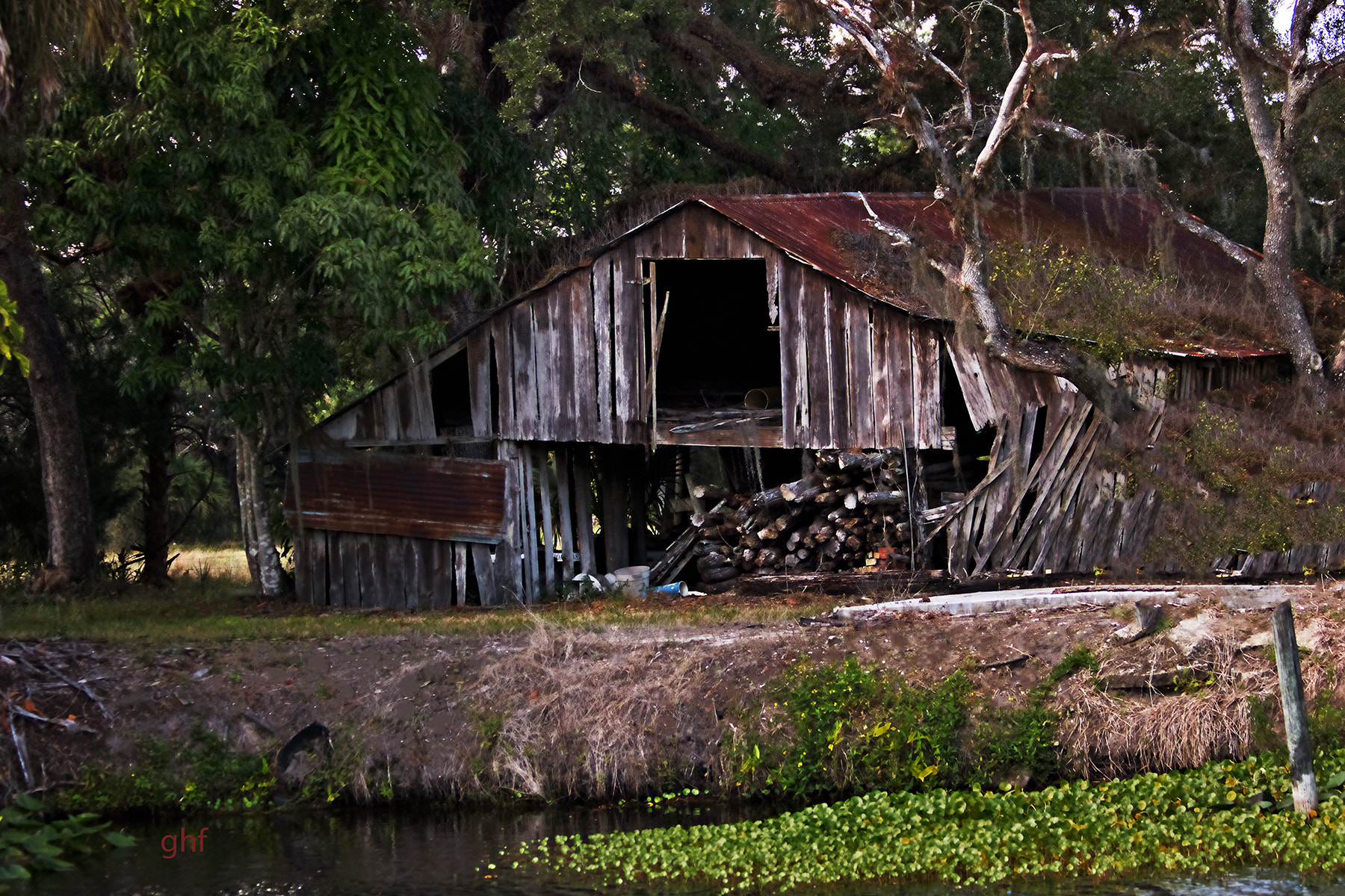 Canon EOS 760D (EOS Rebel T6s / EOS 8000D) sample photo. Orange grove barn photography