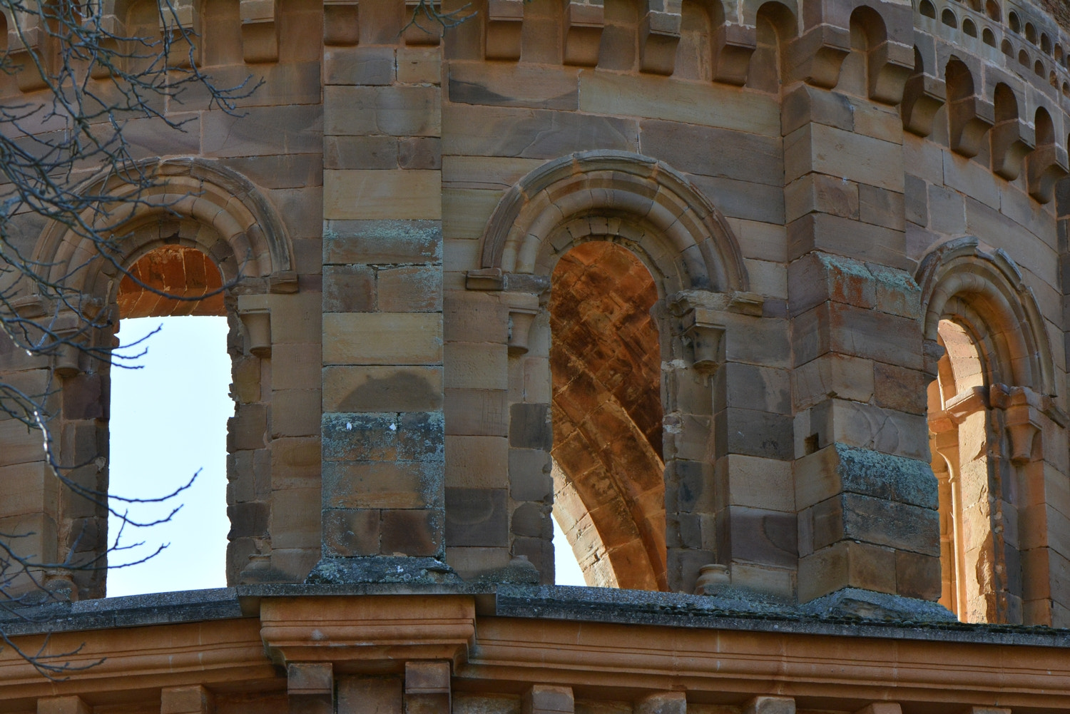 Nikon AF-S Micro-Nikkor 105mm F2.8G IF-ED VR sample photo. 170224_253.jpg photography