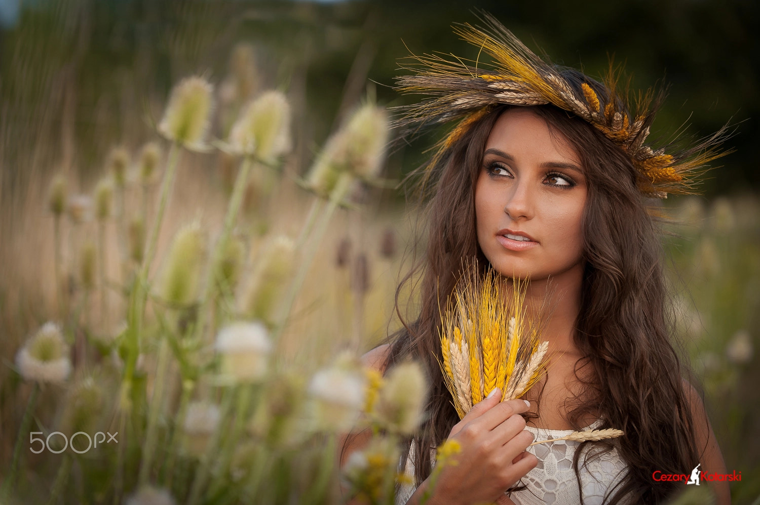 Nikon D700 sample photo. S photography