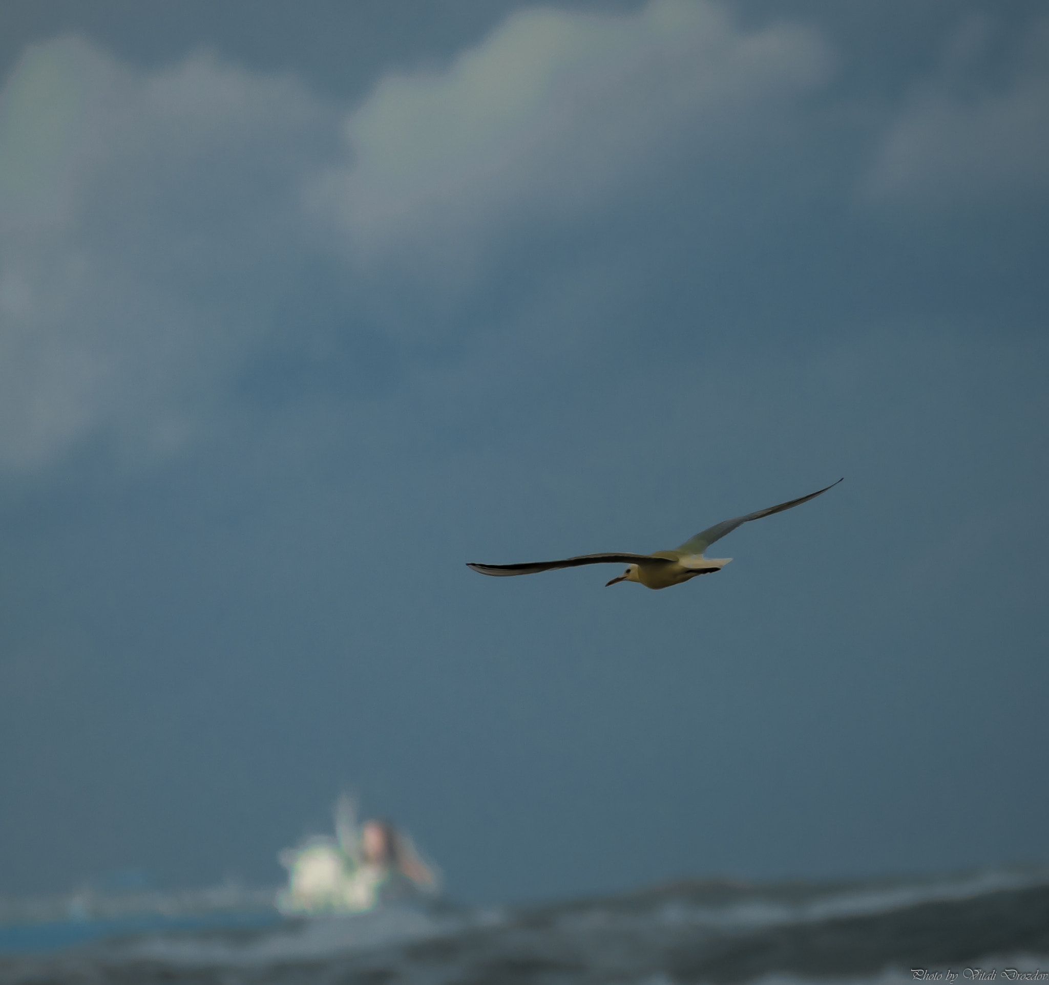 AF Zoom-Nikkor 75-300mm f/4.5-5.6 sample photo. провожает photography