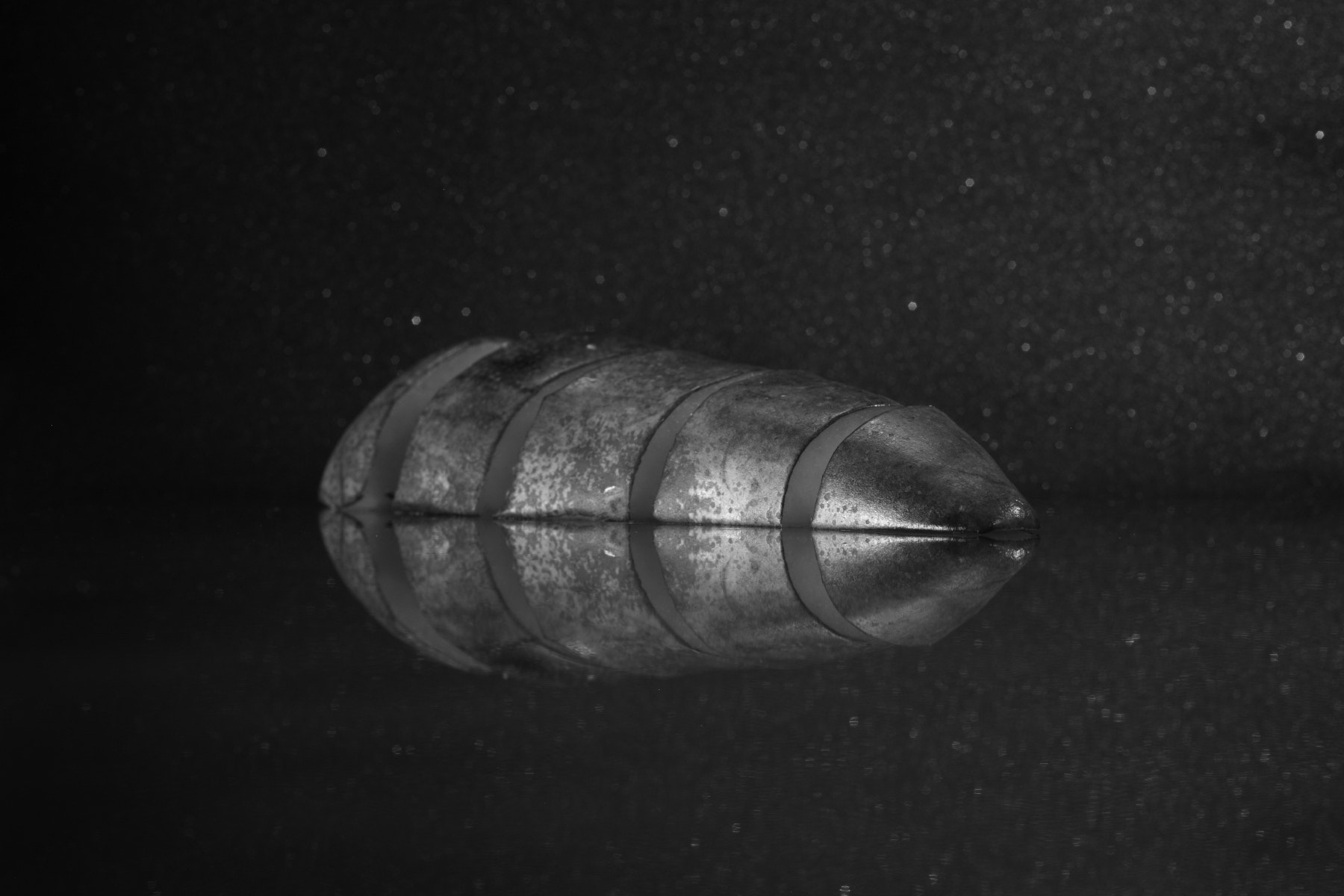 Canon EF 50mm F2.5 Macro sample photo. Bio galaxy photography