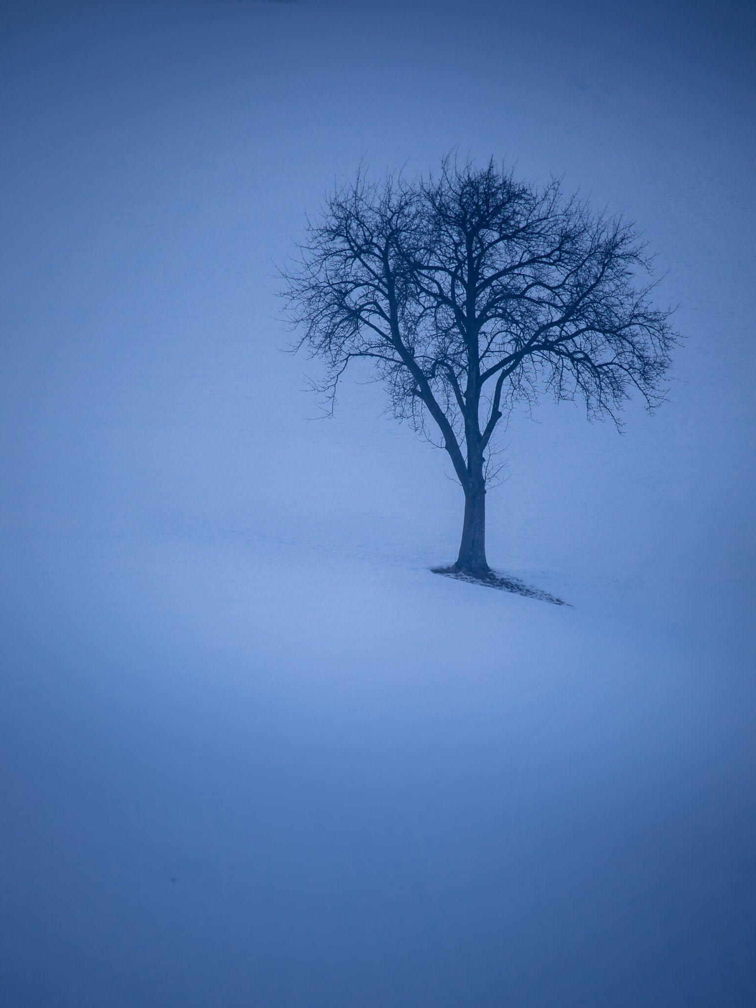 Canon EF-S 55-250mm F4-5.6 IS STM sample photo. Blue hour on a winter day photography