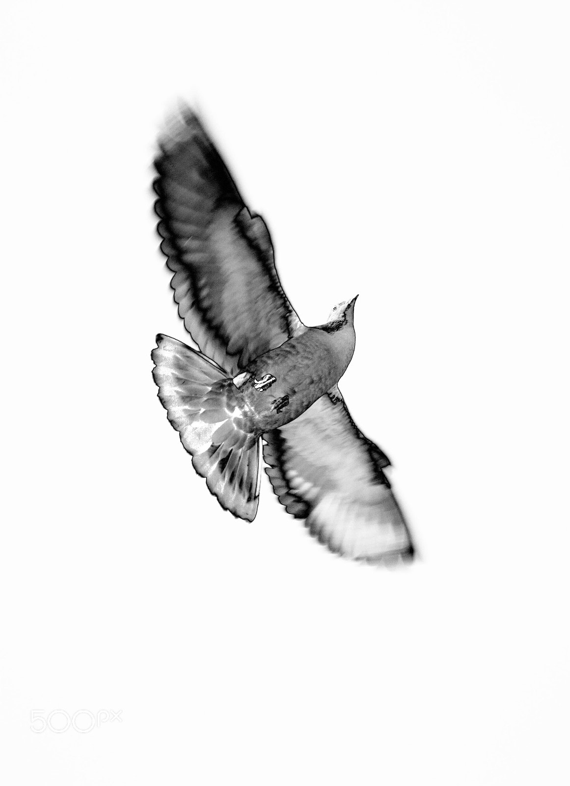Canon EF-S 55-250mm F4-5.6 IS sample photo. Infrared liberty photography
