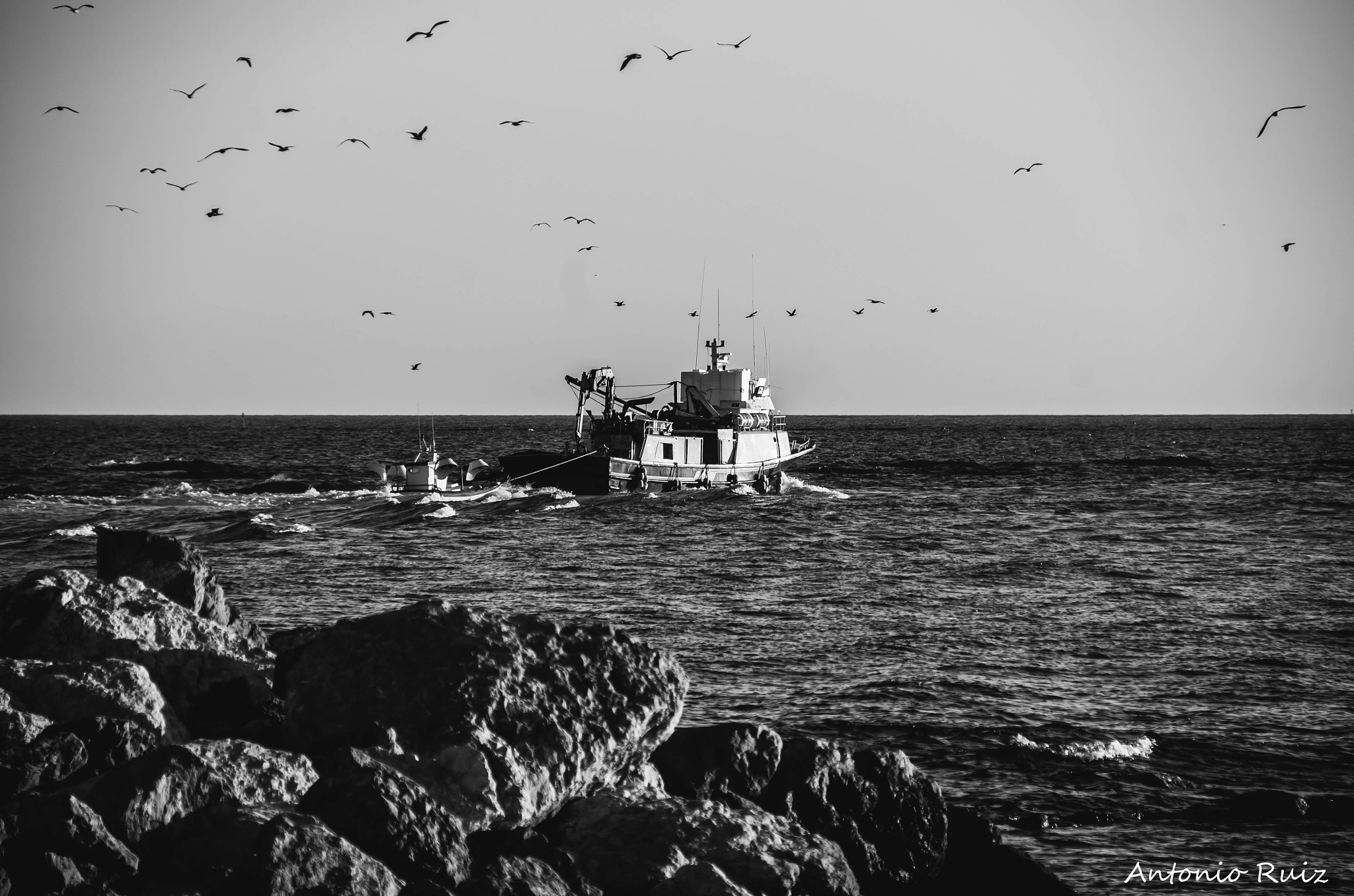 Sigma 18-200mm F3.5-6.3 II DC OS HSM sample photo. Black & white photography