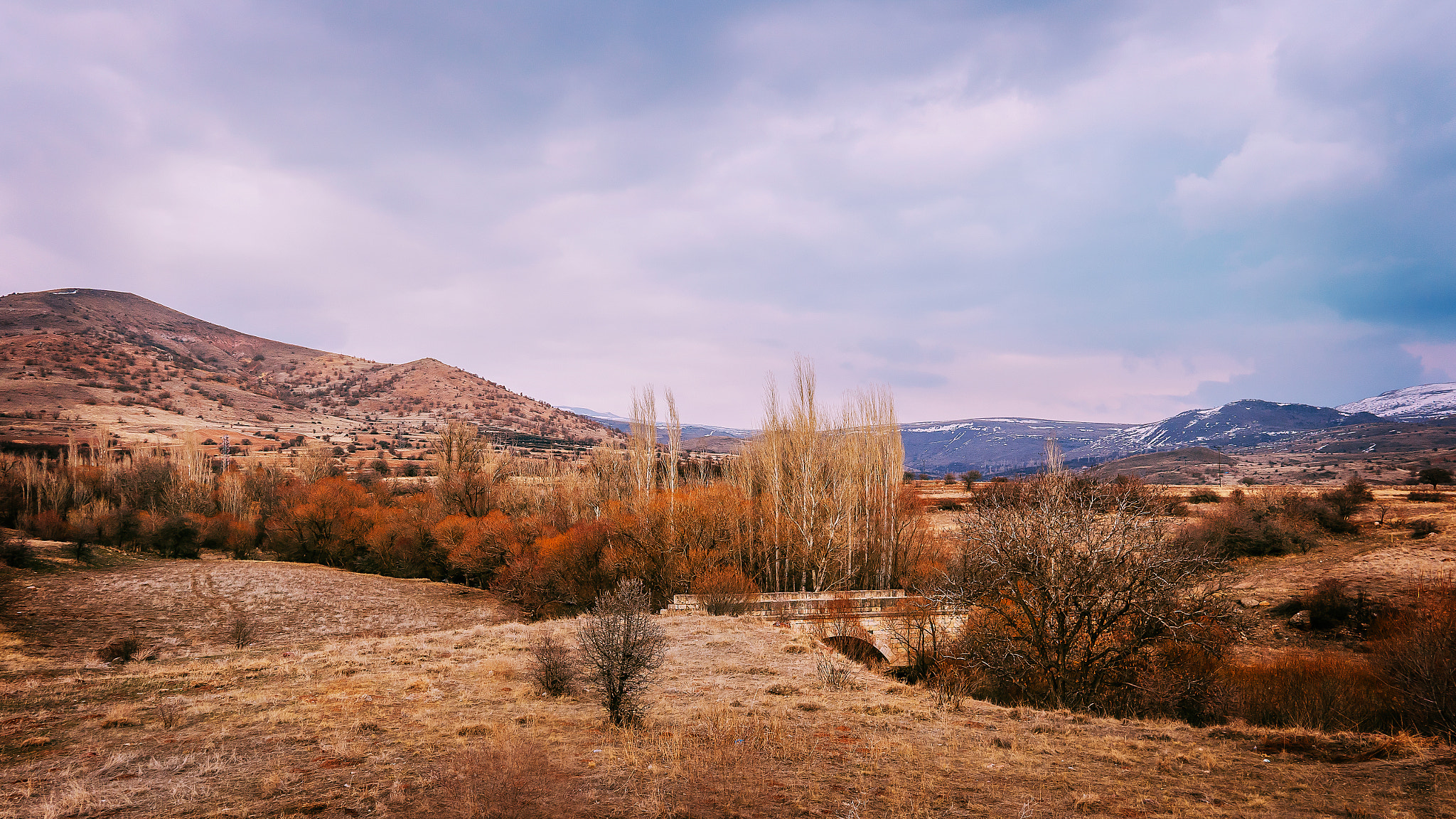 Sony a6300 + Sigma 19mm F2.8 EX DN sample photo. I am feeling,spring is coming slowly photography