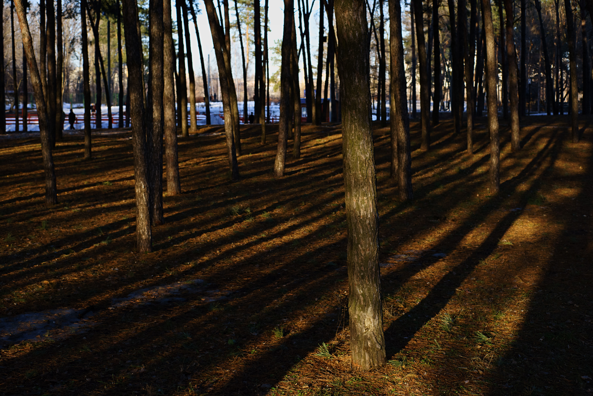 Sony a7R + Sony DT 50mm F1.8 SAM sample photo. Shadow photography