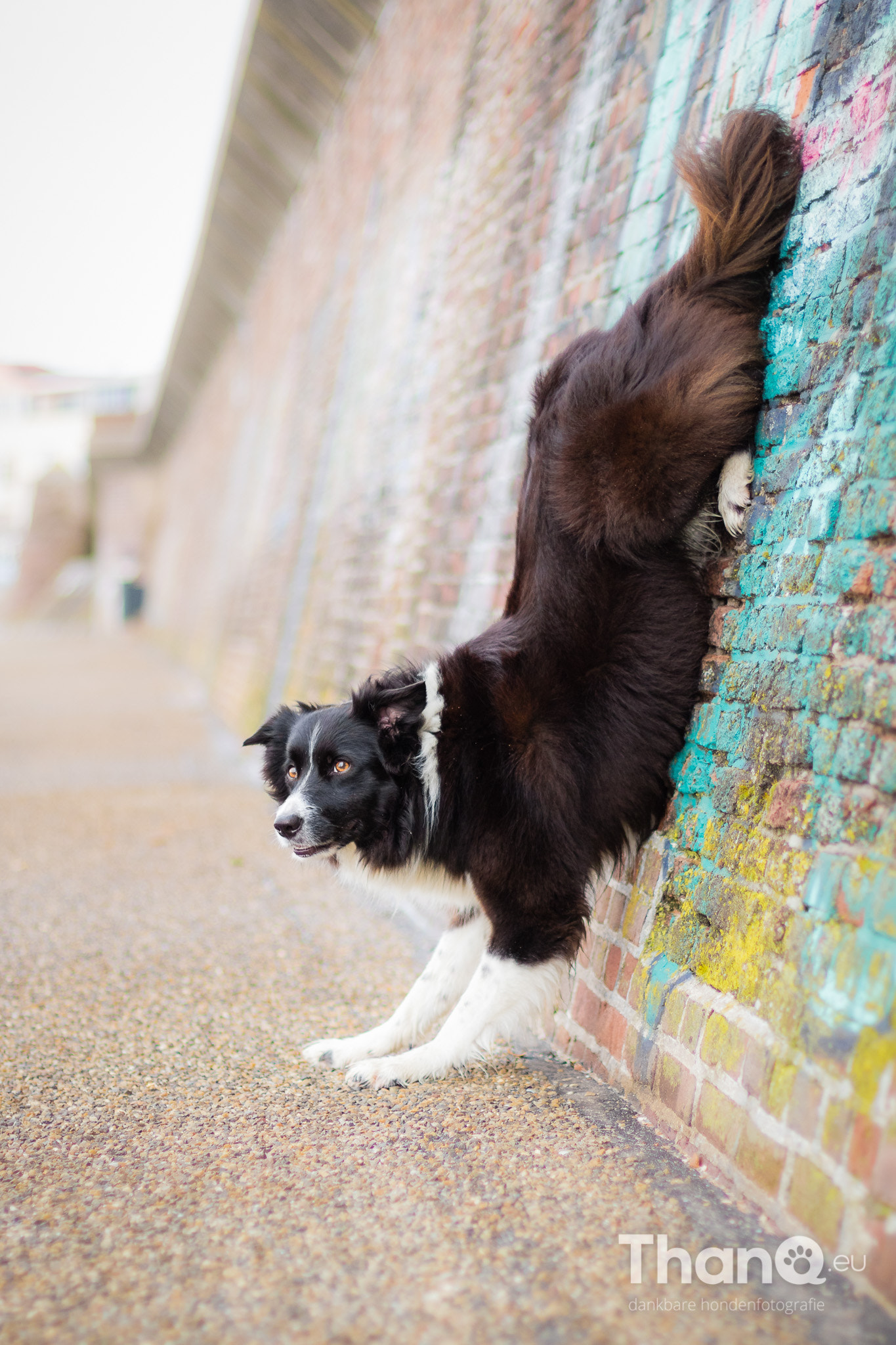 Canon EF 50mm F1.4 USM sample photo. Hand stand fenna photography