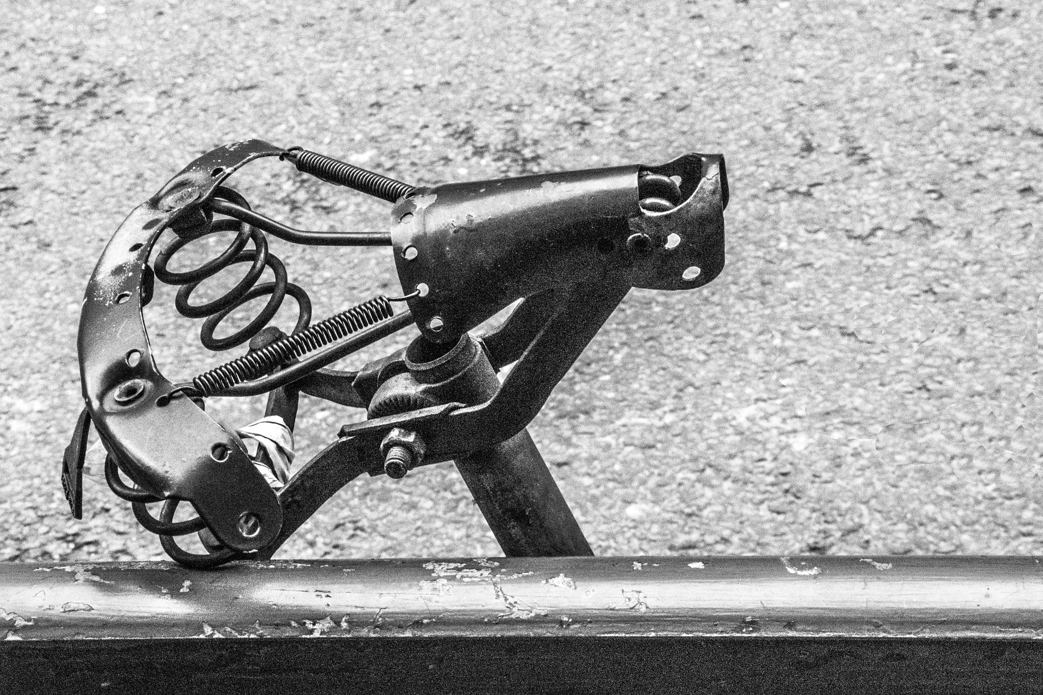 Sigma 18-200mm f/3.5-6.3 DC OS sample photo. En selle! (in saddle!) photography