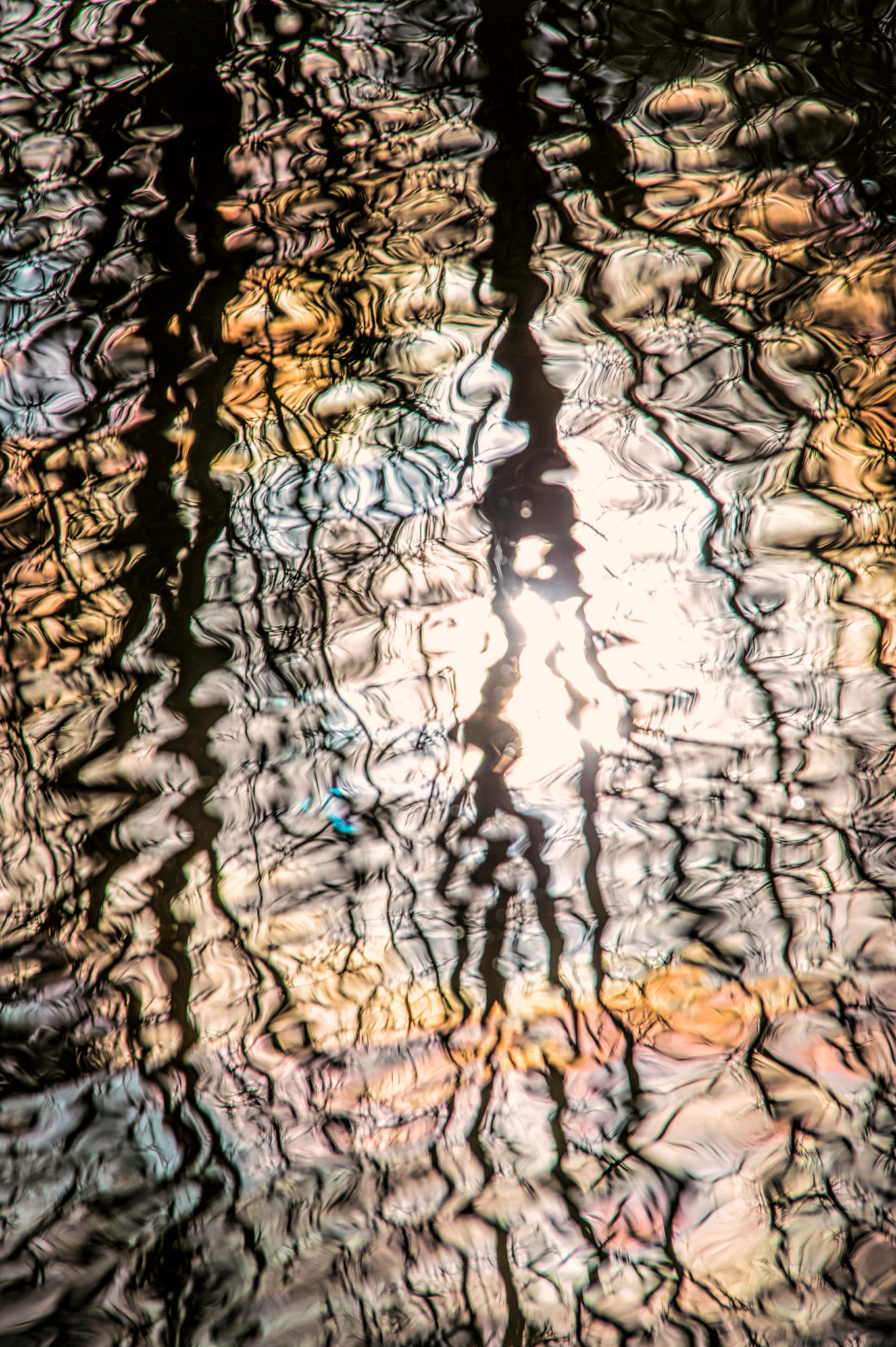 Pentax K-3 sample photo. Reflections photography