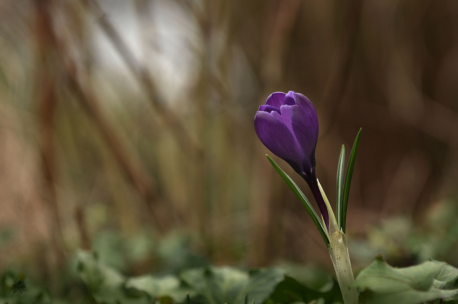 Nikon D300S sample photo. Winners never quit and quitters never win! photography