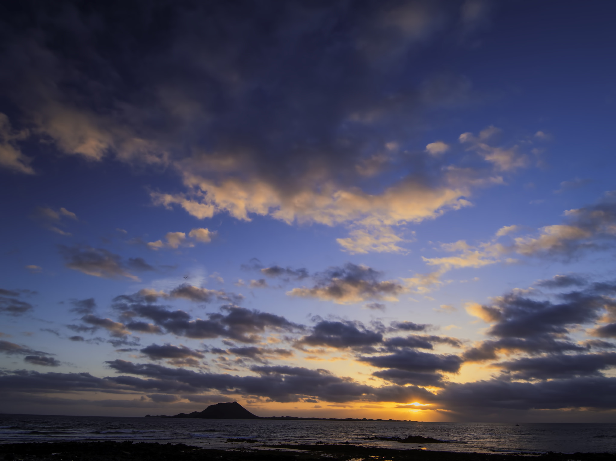 Pentax 645D sample photo. La mouette. photography