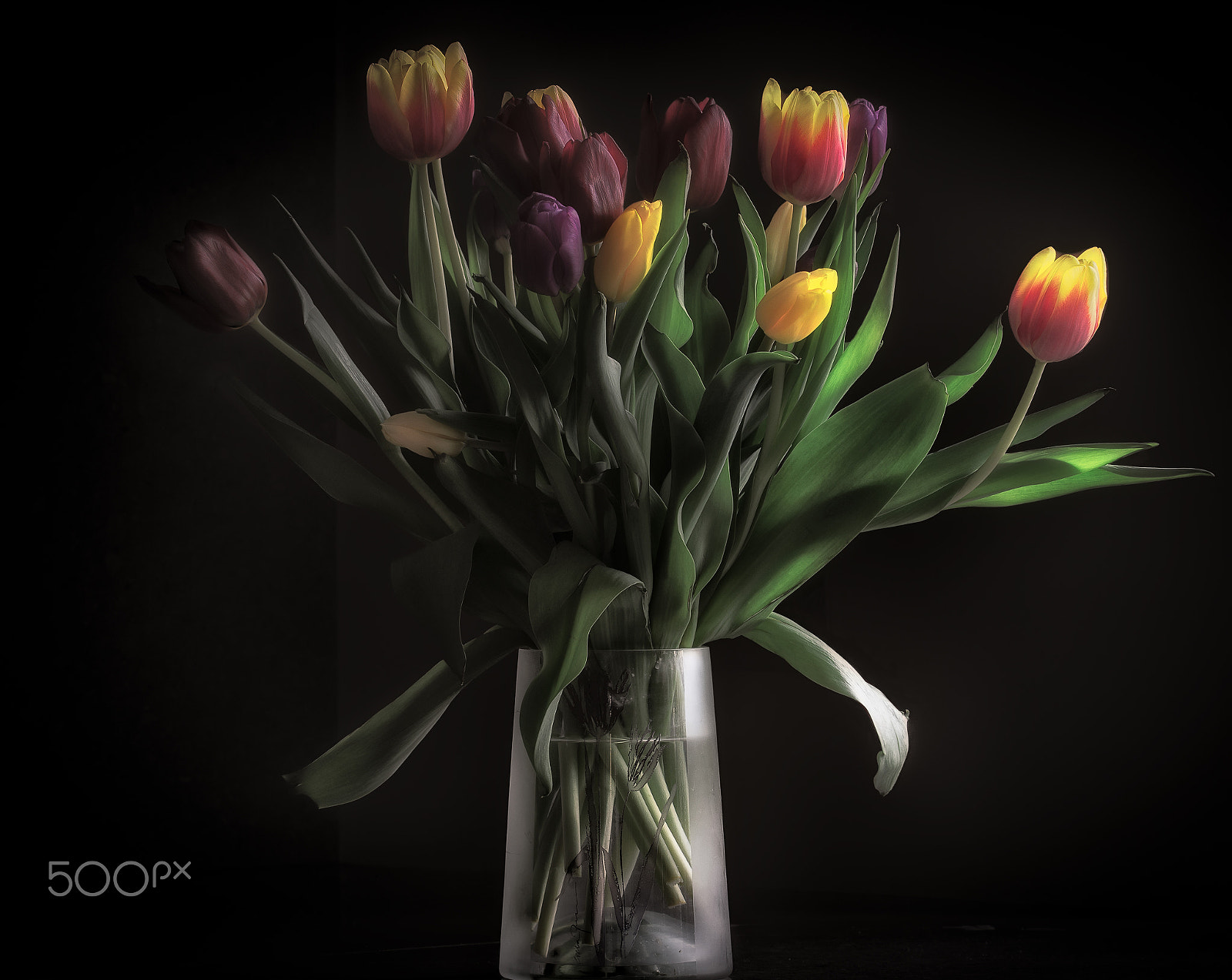 Nikon D800 sample photo. Still life photography