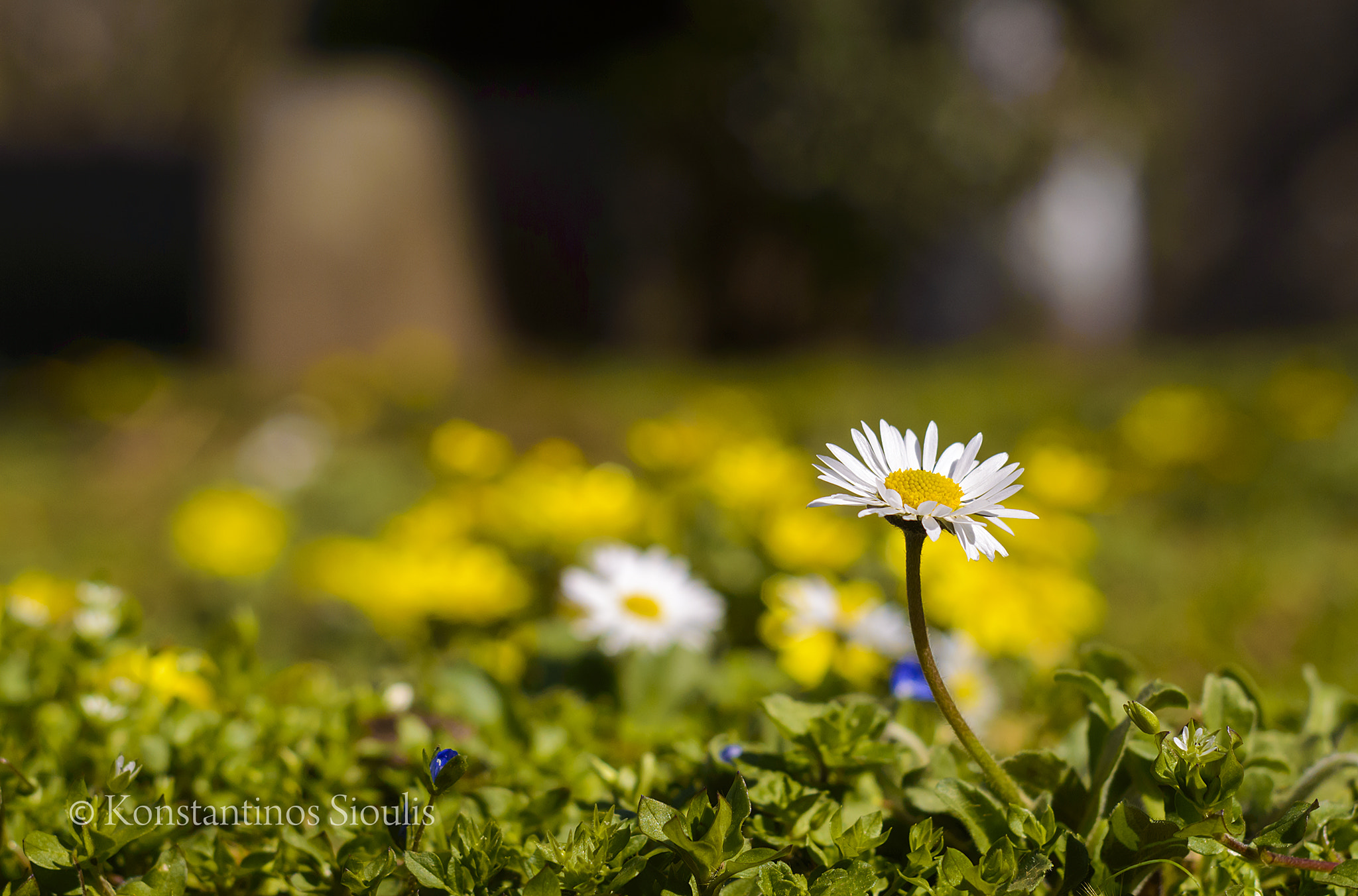 Nikon D3200 sample photo