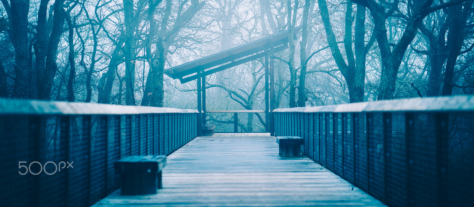 Sony a7S II + ZEISS Batis 85mm F1.8 sample photo. Deck in the fog - corey frey photography