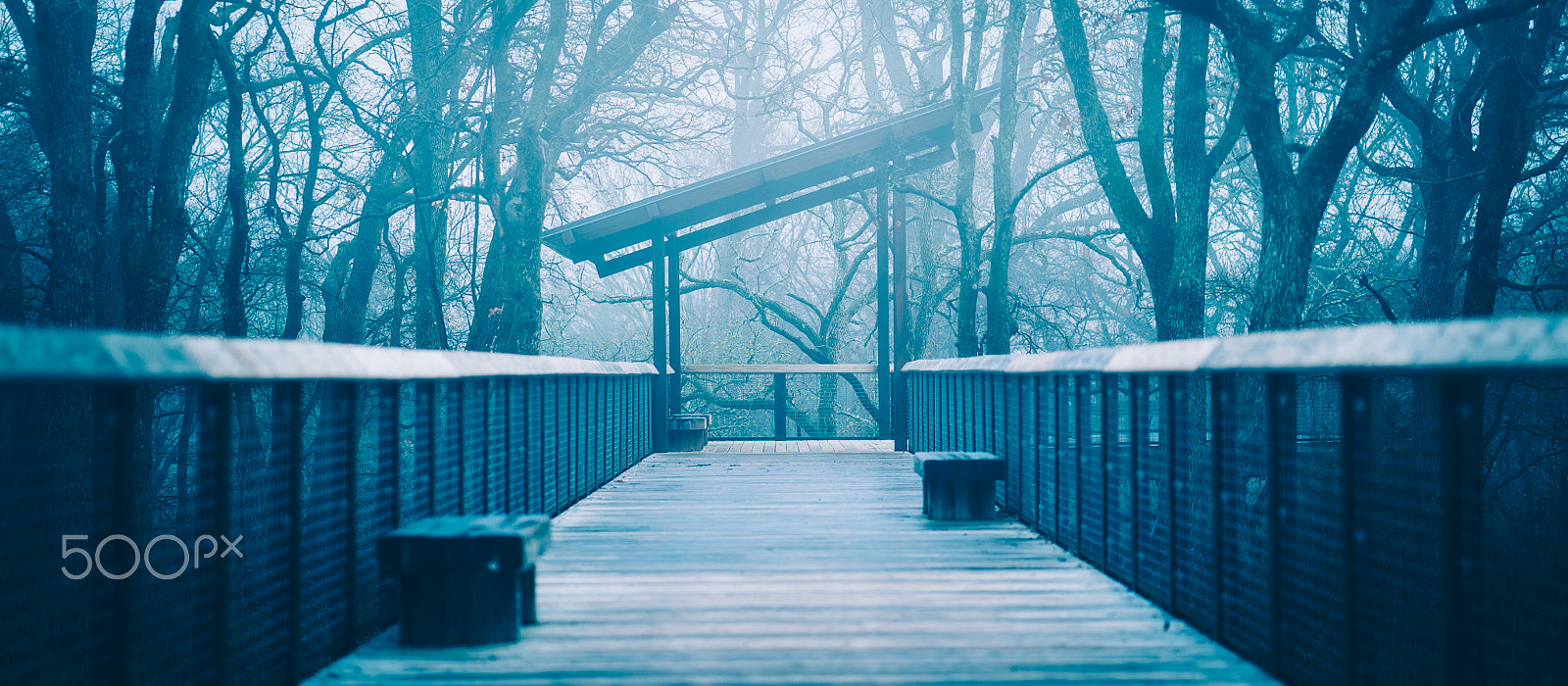 ZEISS Batis 85mm F1.8 sample photo. Deck in the fog - corey frey photography