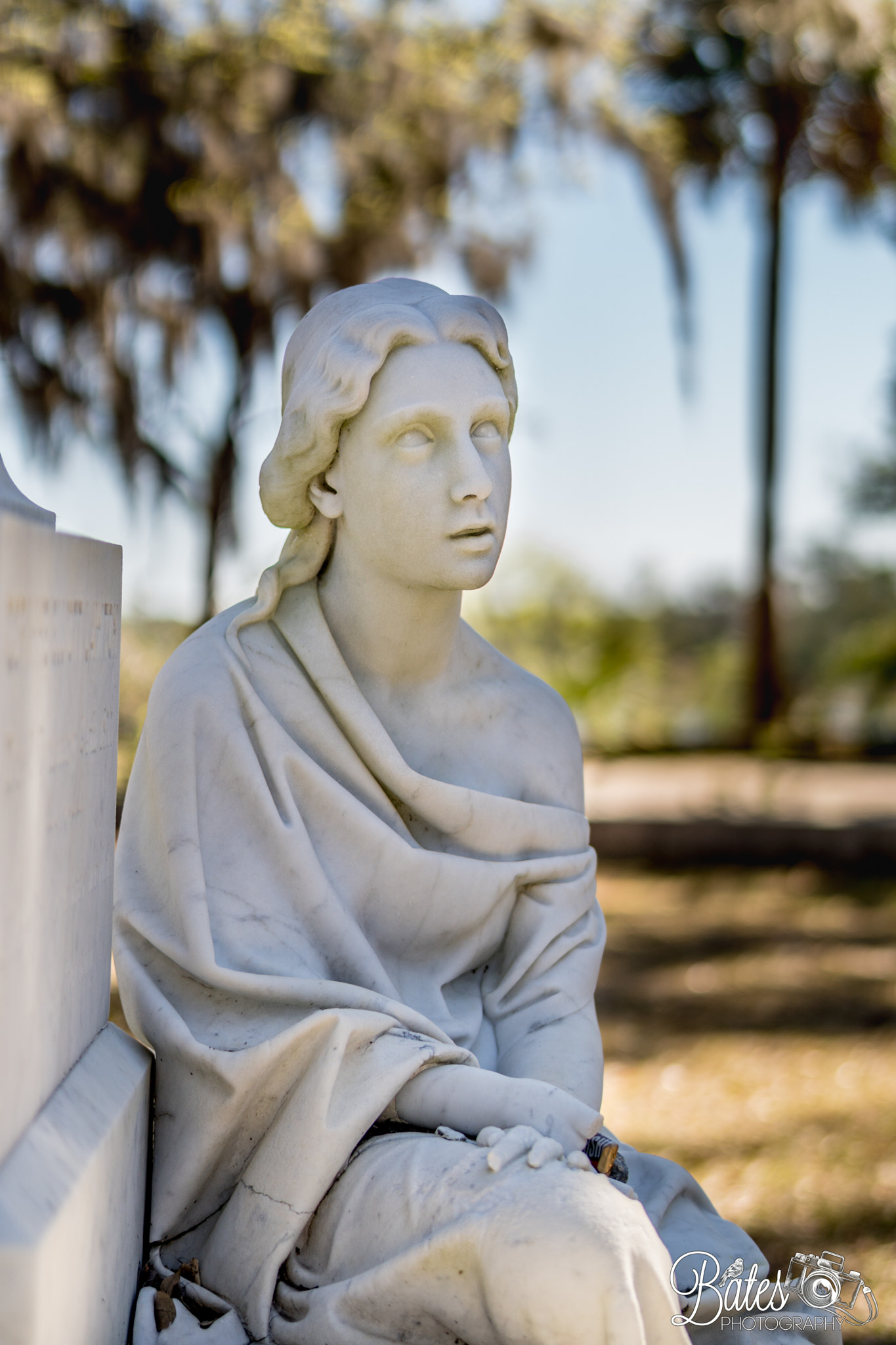 Sony Planar T* FE 50mm F1.4 ZA sample photo. Bonaventure cemetery photography