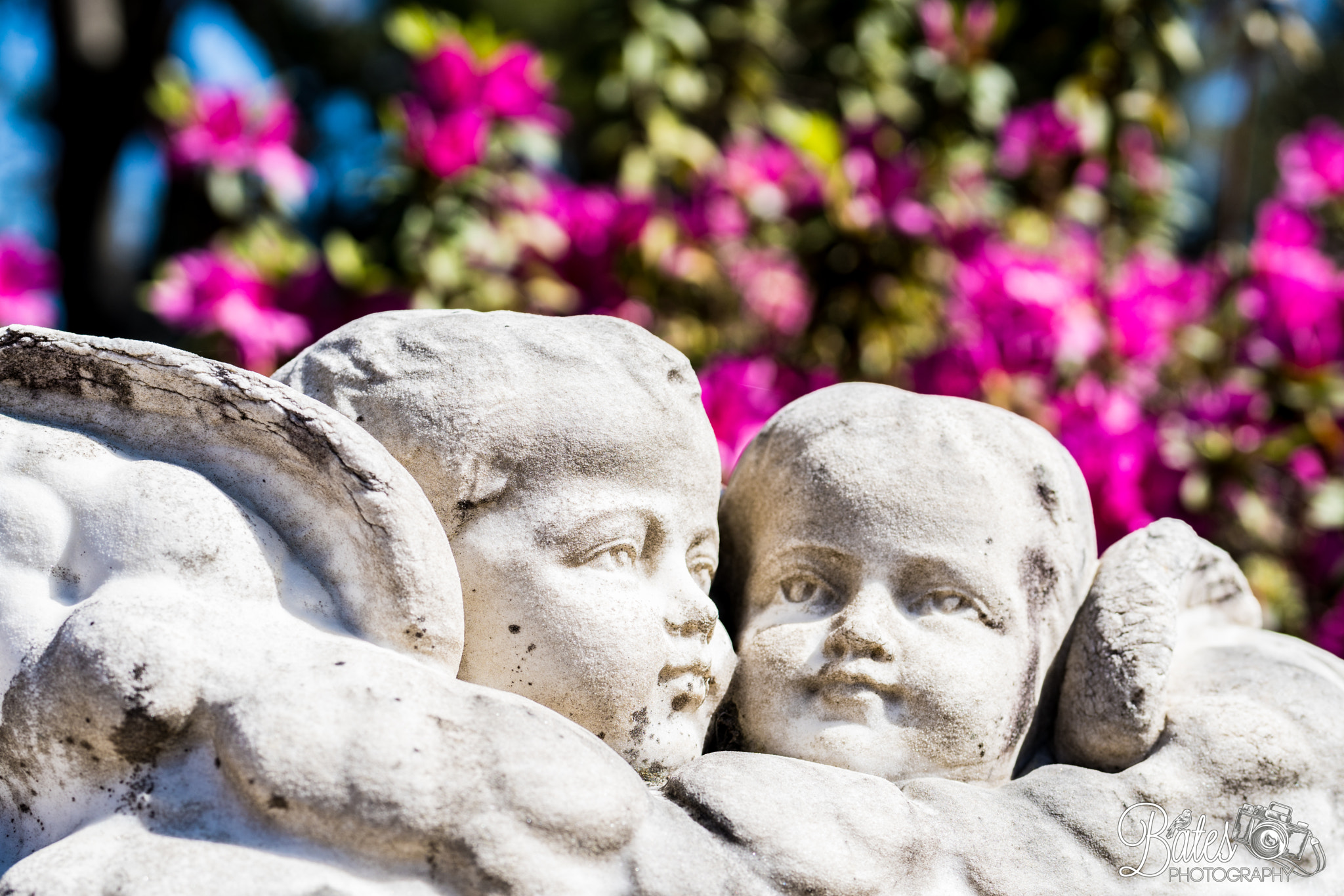 Sony Planar T* FE 50mm F1.4 ZA sample photo. Bonaventure cemetery photography