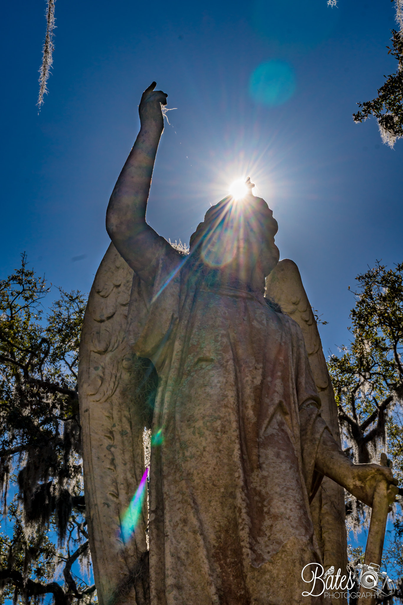 Sony Planar T* FE 50mm F1.4 ZA sample photo. Bonaventure cemetery photography