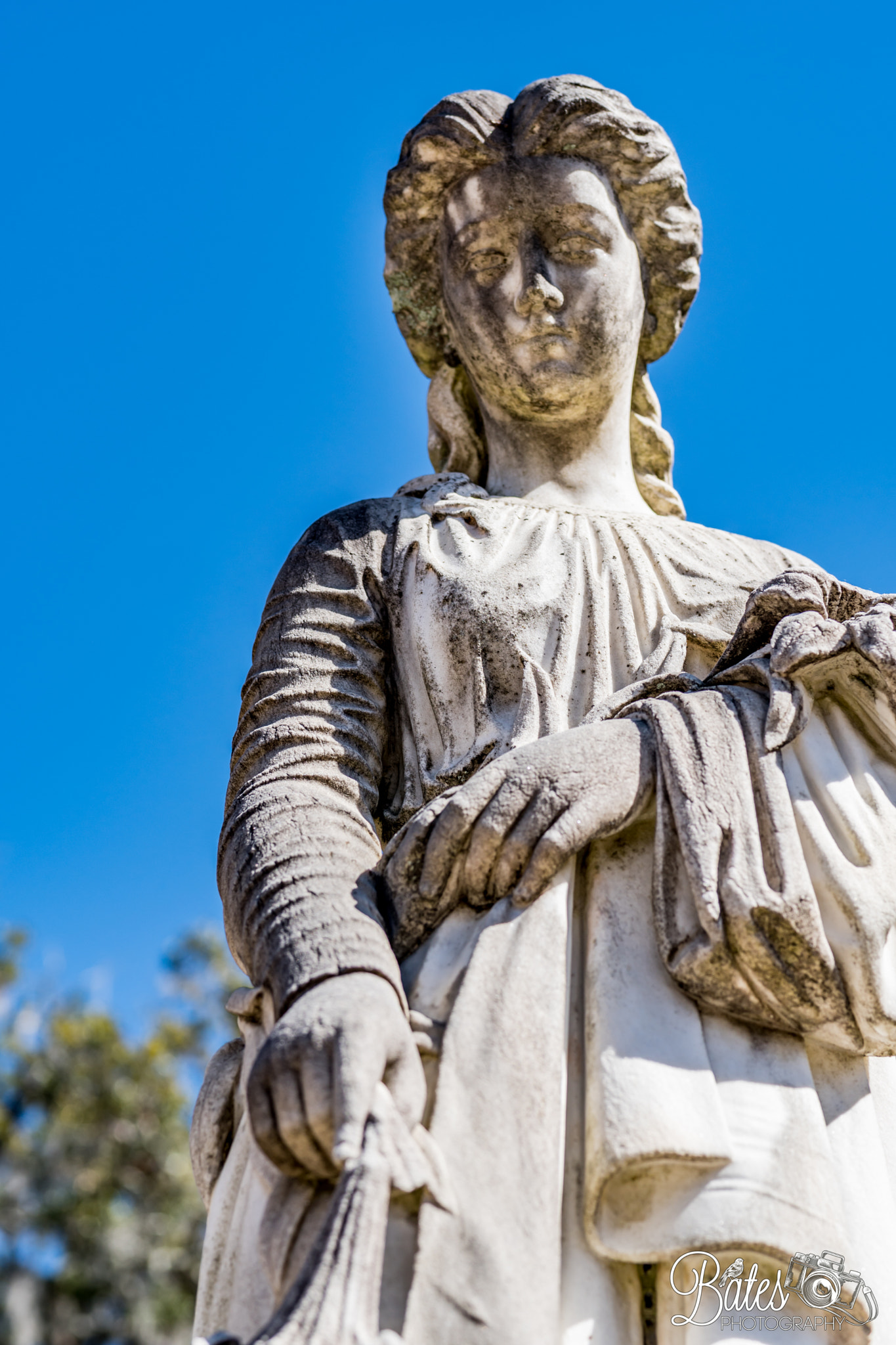 Sony Planar T* FE 50mm F1.4 ZA sample photo. Bonaventure cemetery photography