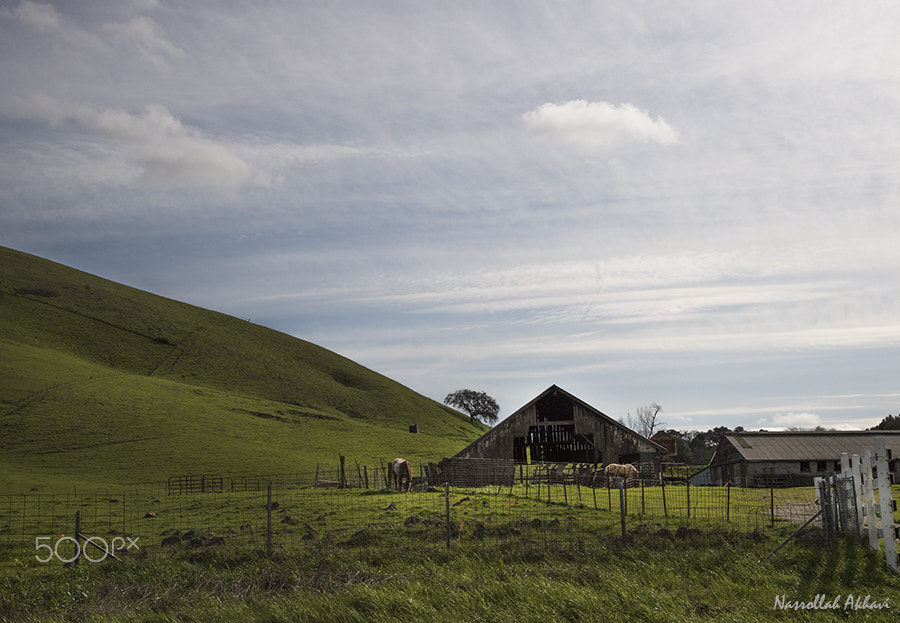 Nikon AF-S Nikkor 24-120mm F4G ED VR sample photo. A farm photography
