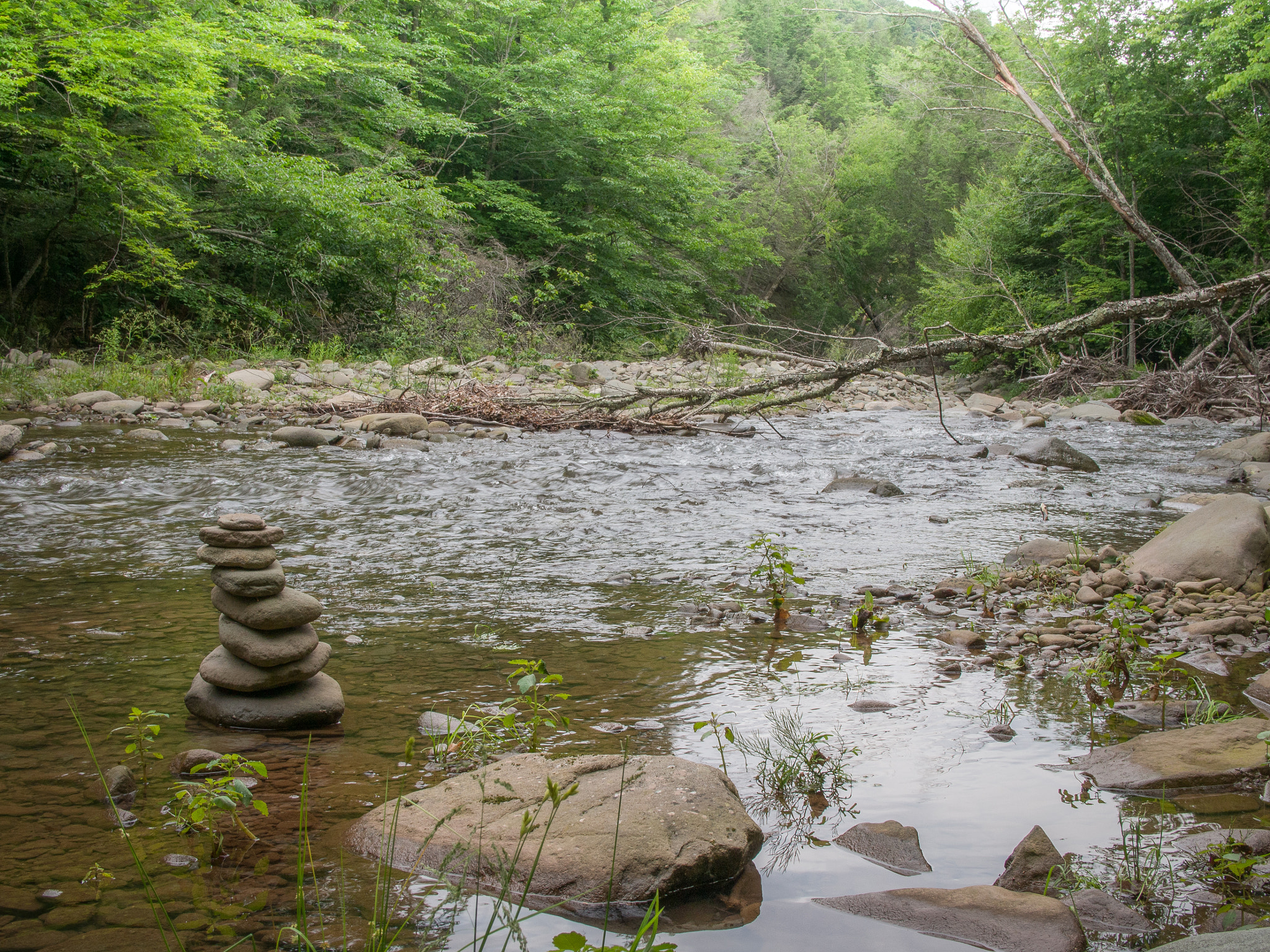 Olympus PEN E-P5 + Olympus M.Zuiko Digital 25mm F1.8 sample photo. Esopus creek photography