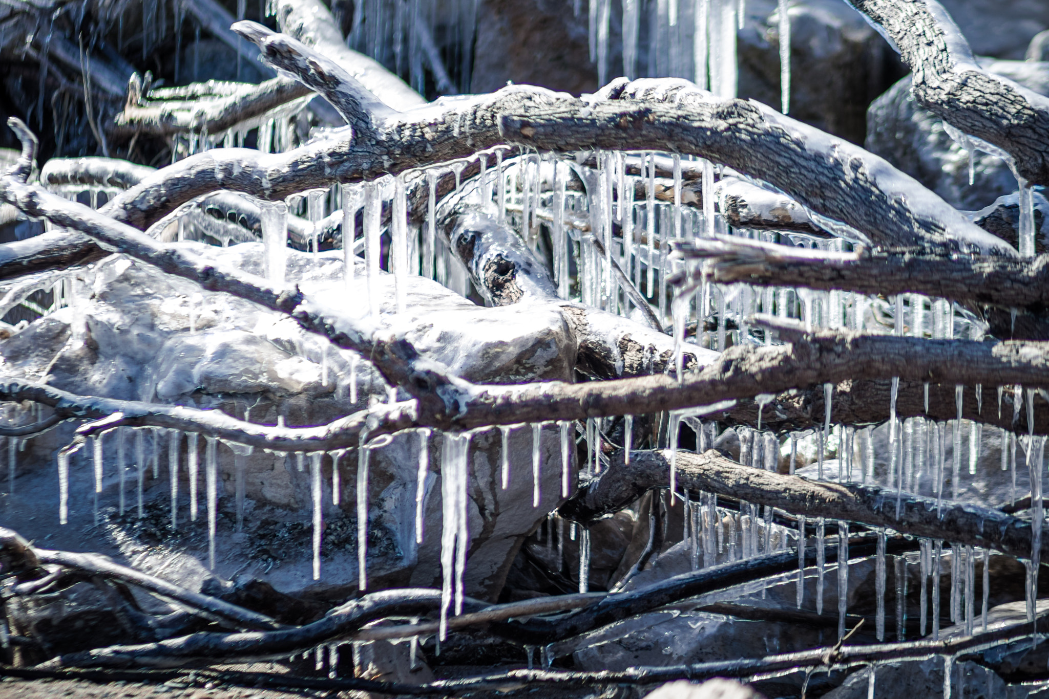 Canon EOS 80D + Canon EF 85mm F1.8 USM sample photo. Icicles photography