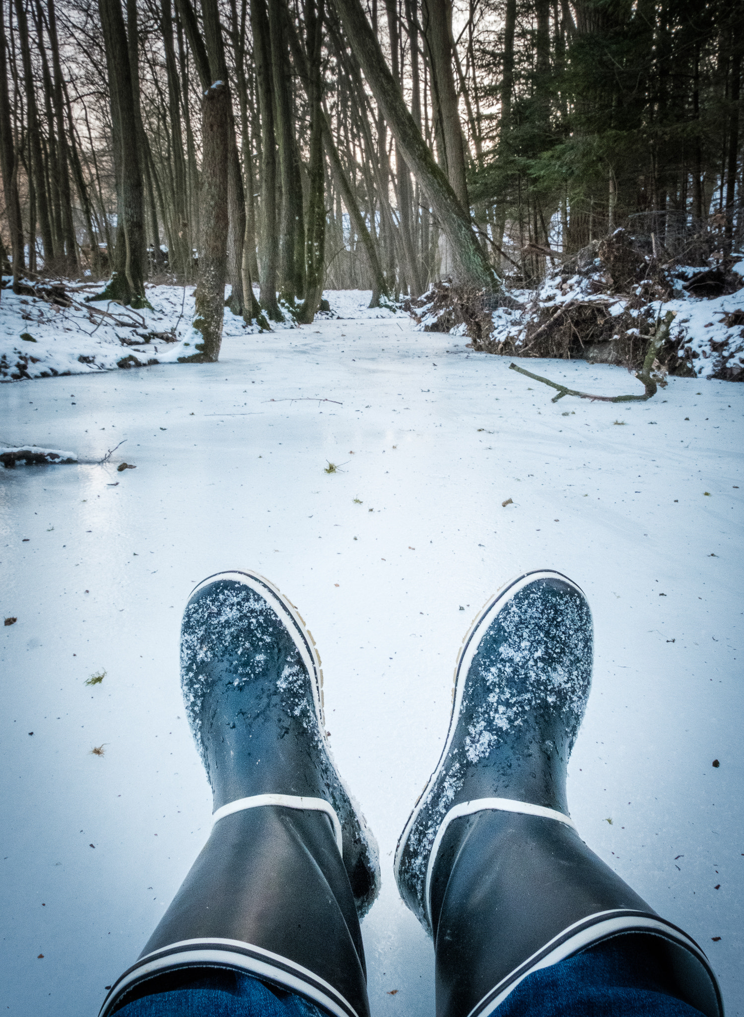 Fujifilm X-T2 + Fujifilm XF 18-135mm F3.5-5.6 R LM OIS WR sample photo. Winter slide photography