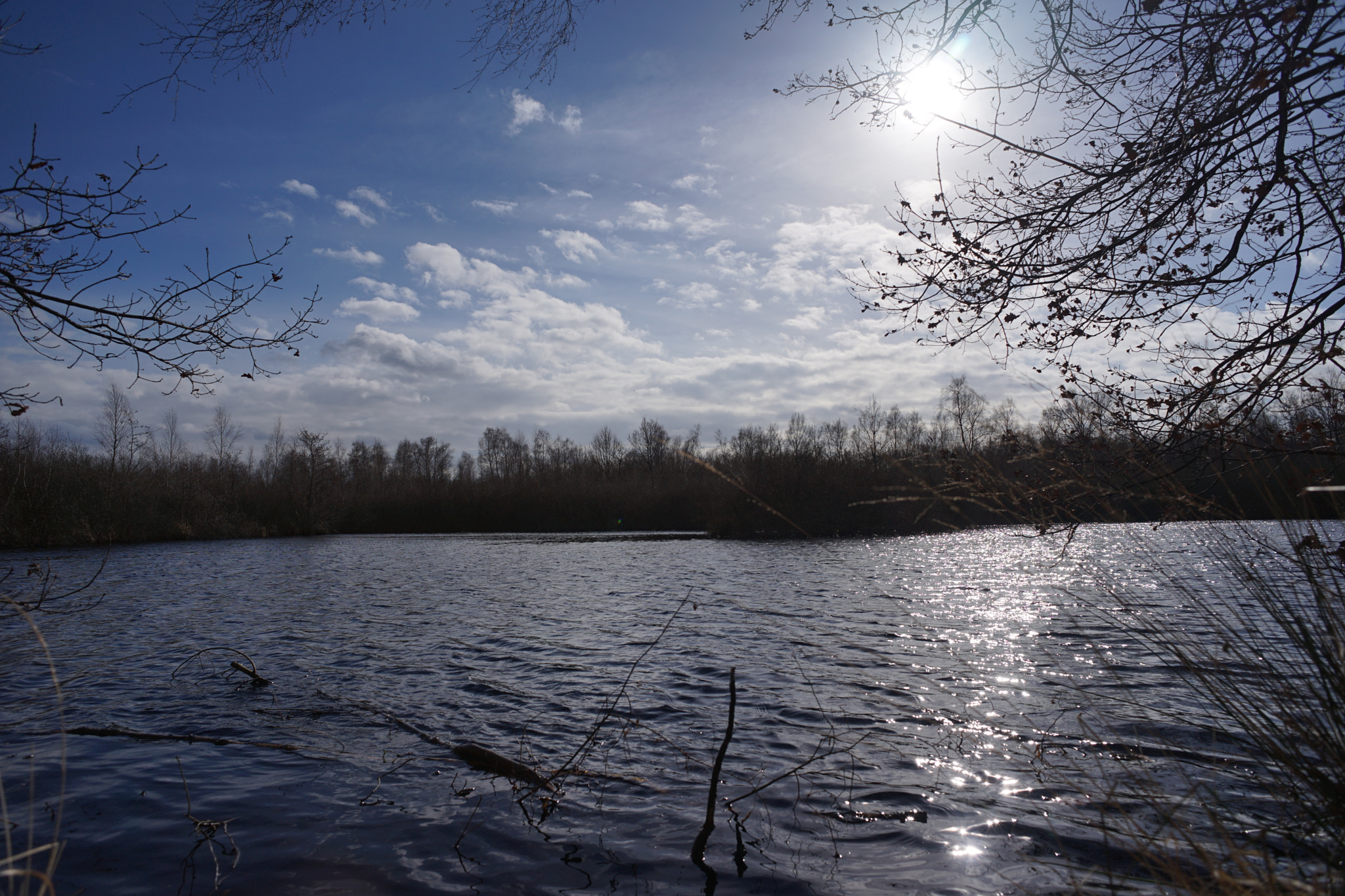 Sony a7 II sample photo. Großes torfmoor (spiegelungen) photography