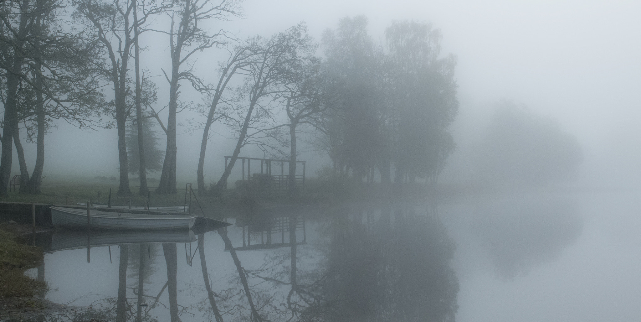 Nikon D300 sample photo. Achray mist photography