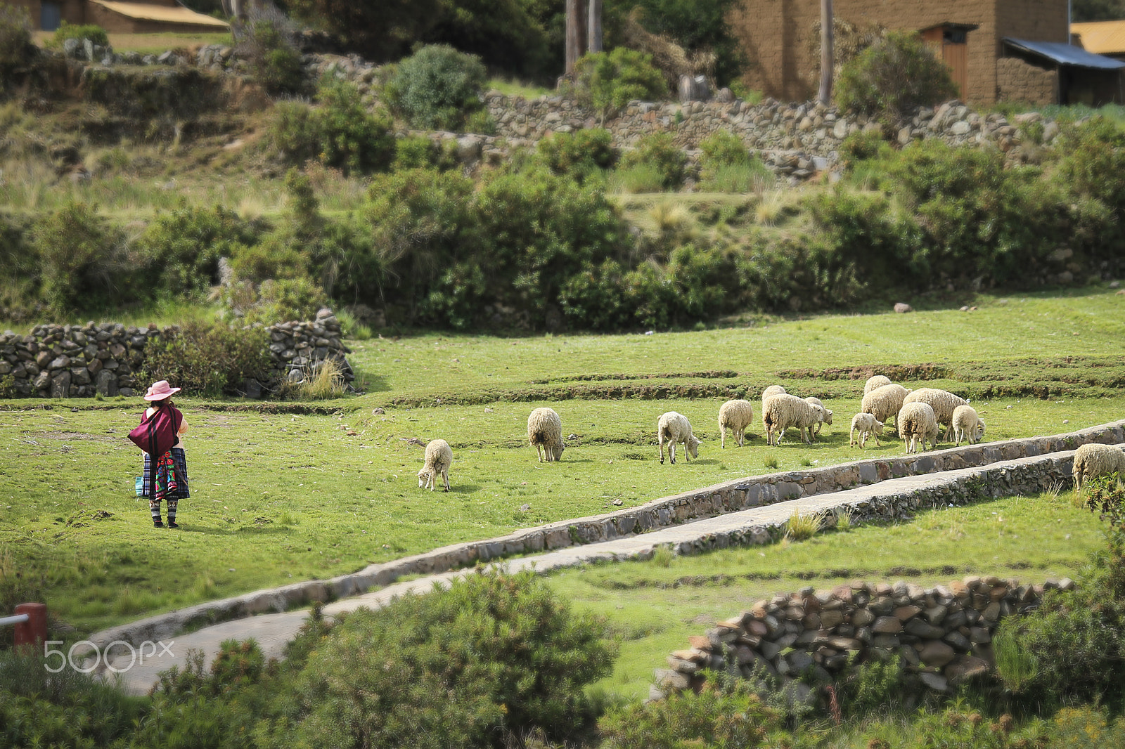 Canon EF-S 55-250mm F4-5.6 IS sample photo. Vamos photography