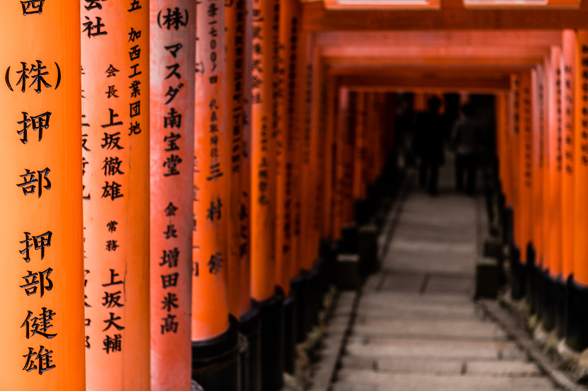 Canon EF 24-70mm F2.8L USM sample photo. Fushimiinarisrhine photography