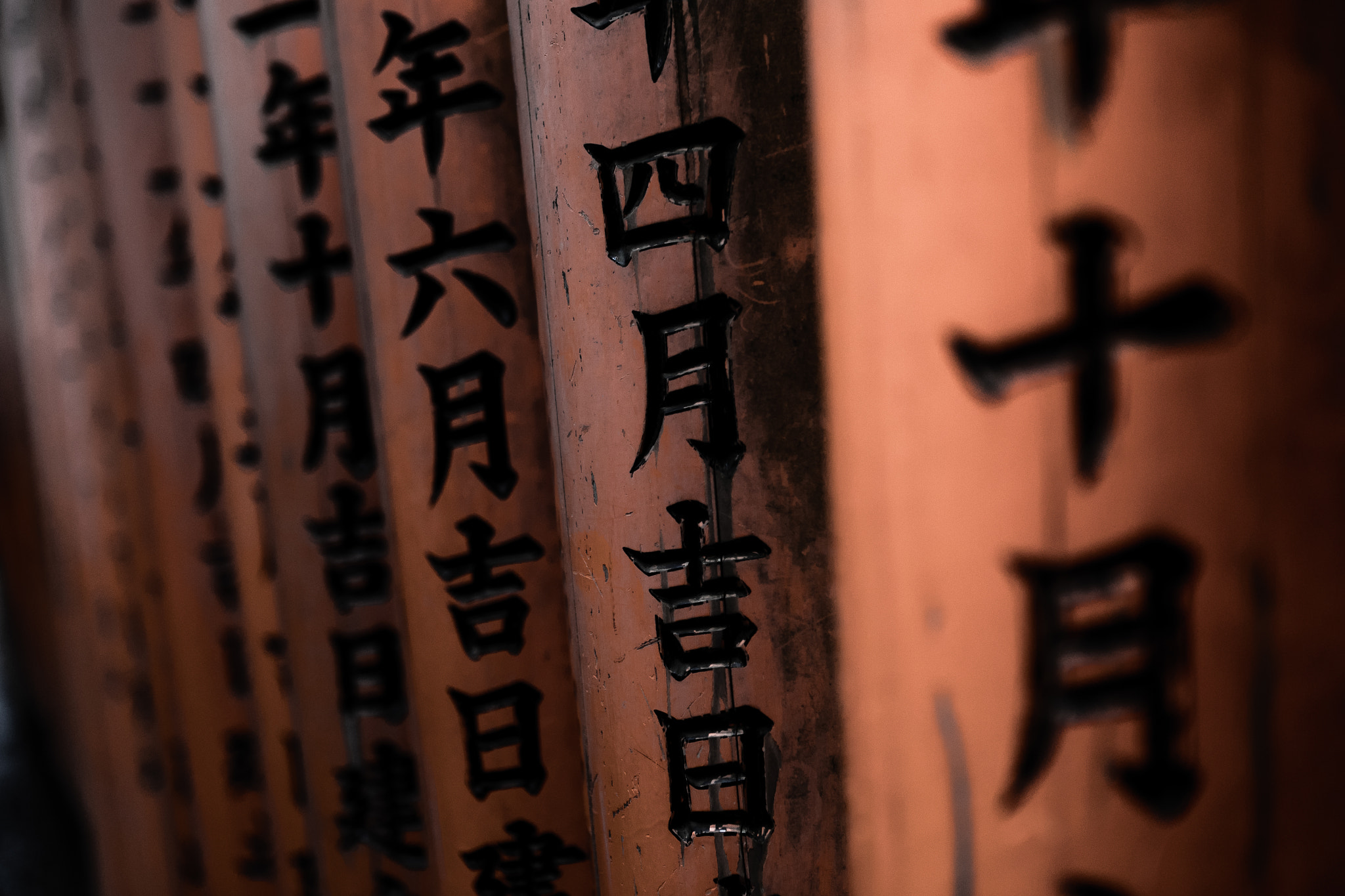 Canon EF 24-70mm F2.8L USM sample photo. Fushimiinarisrhine photography