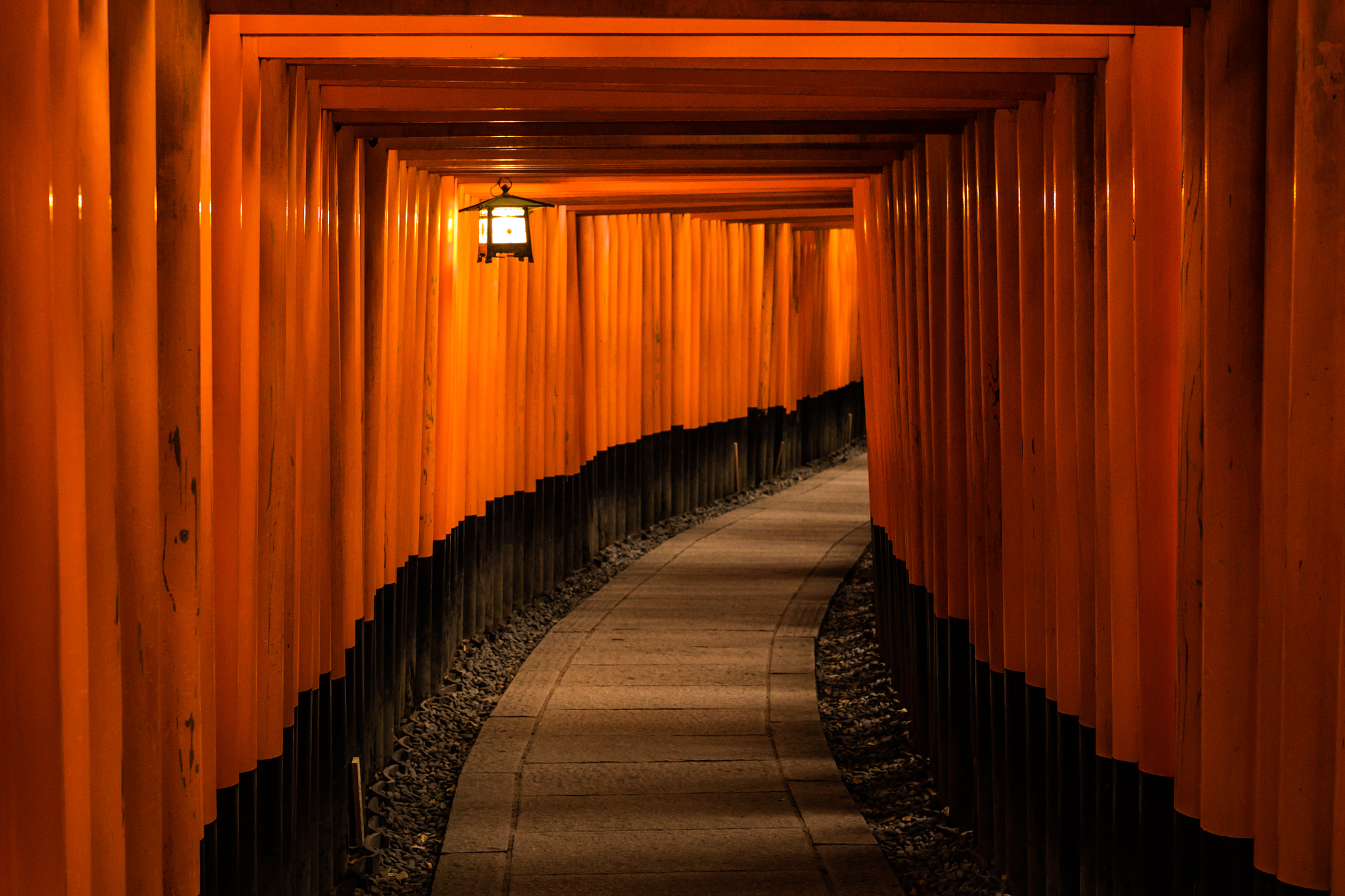 Canon EF 24-70mm F2.8L USM sample photo. Fushimiinarisrhine photography