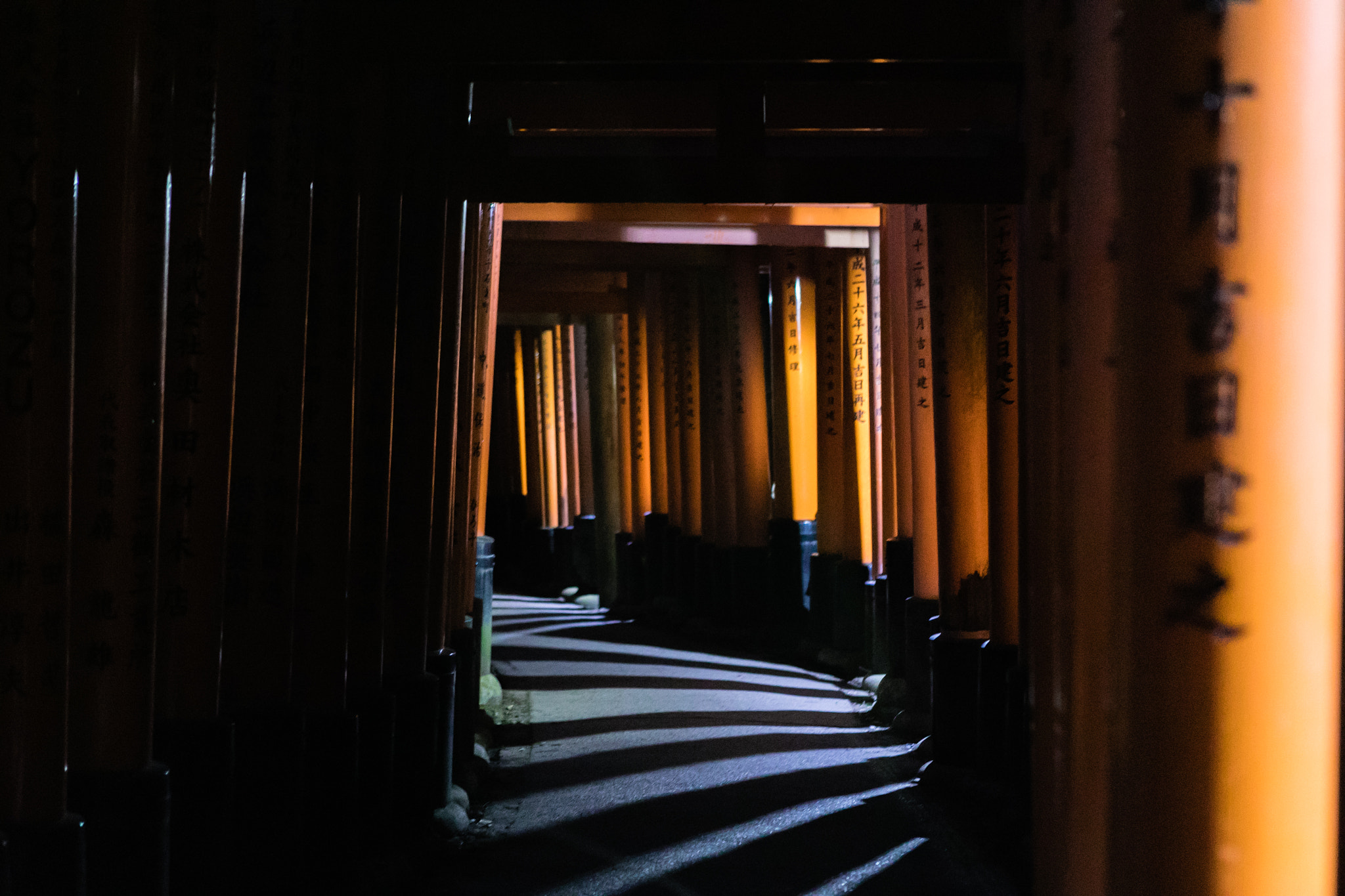 Canon EF 24-70mm F2.8L USM sample photo. Fushimiinarisrhine photography