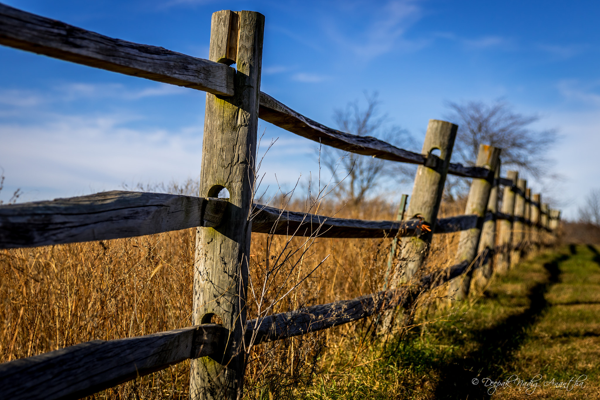 Canon EF 24-70mm F2.8L II USM sample photo. Sunny day photography