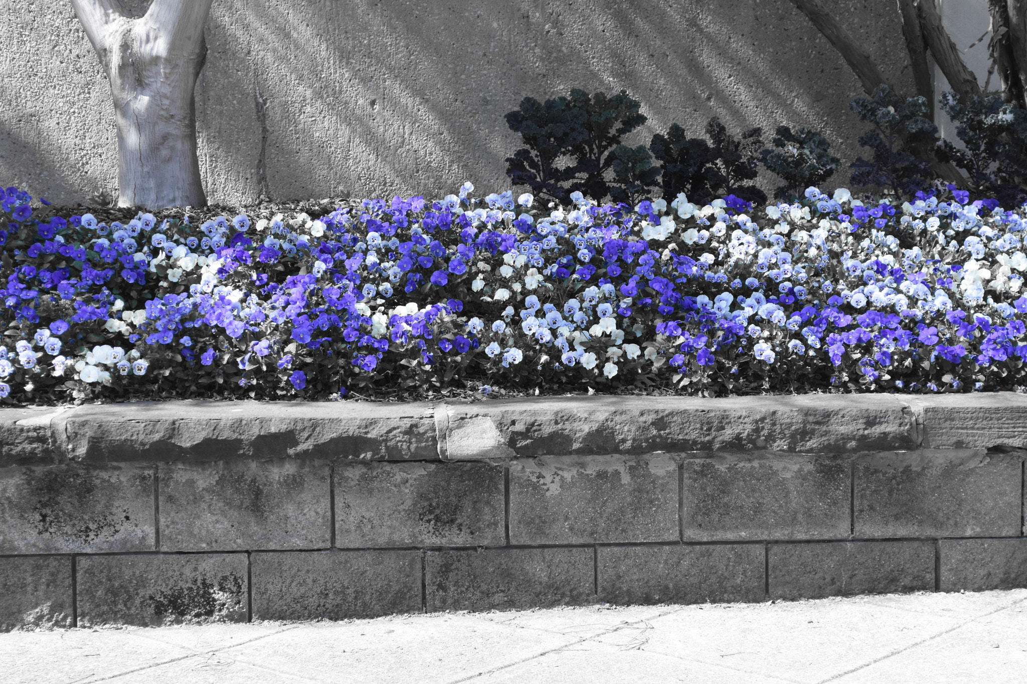 Nikon D7200 sample photo. Dsc photography