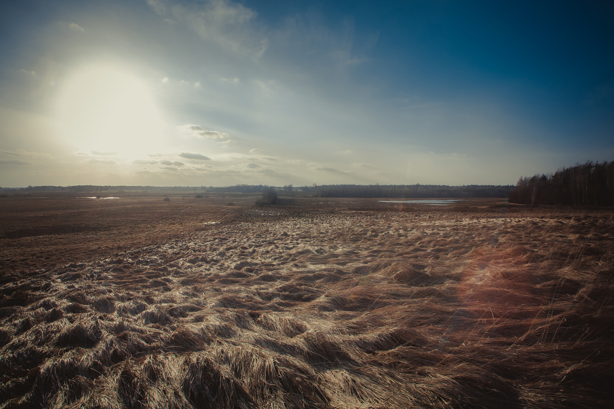 Canon EOS 5D + Canon EF 20-35mm F3.5-4.5 USM sample photo. Latvia photography