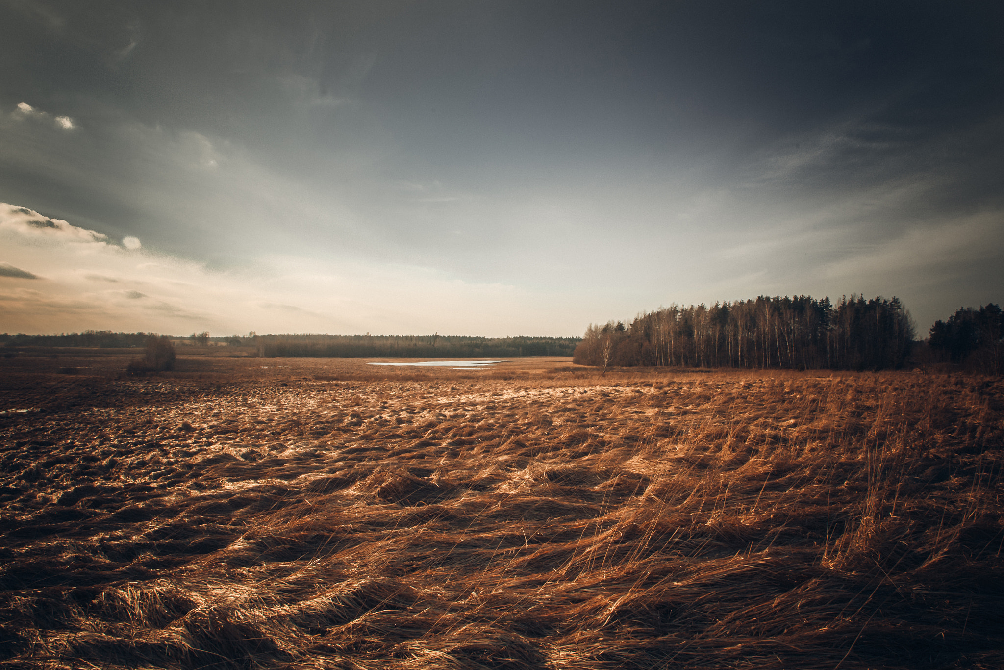 Canon EOS 5D + Canon EF 20-35mm F3.5-4.5 USM sample photo. Latvia photography