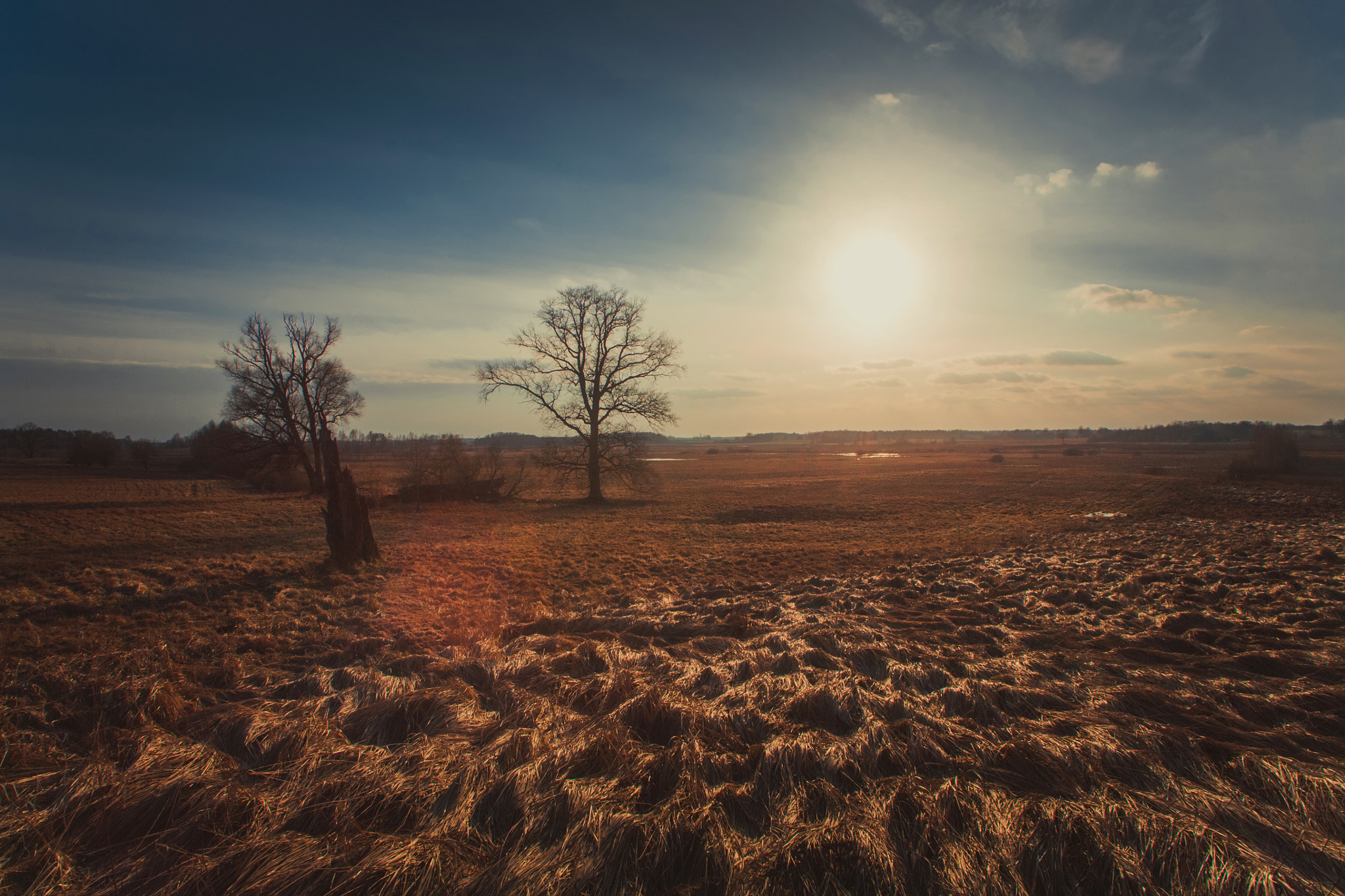 Canon EF 20-35mm F3.5-4.5 USM sample photo. Latvia photography