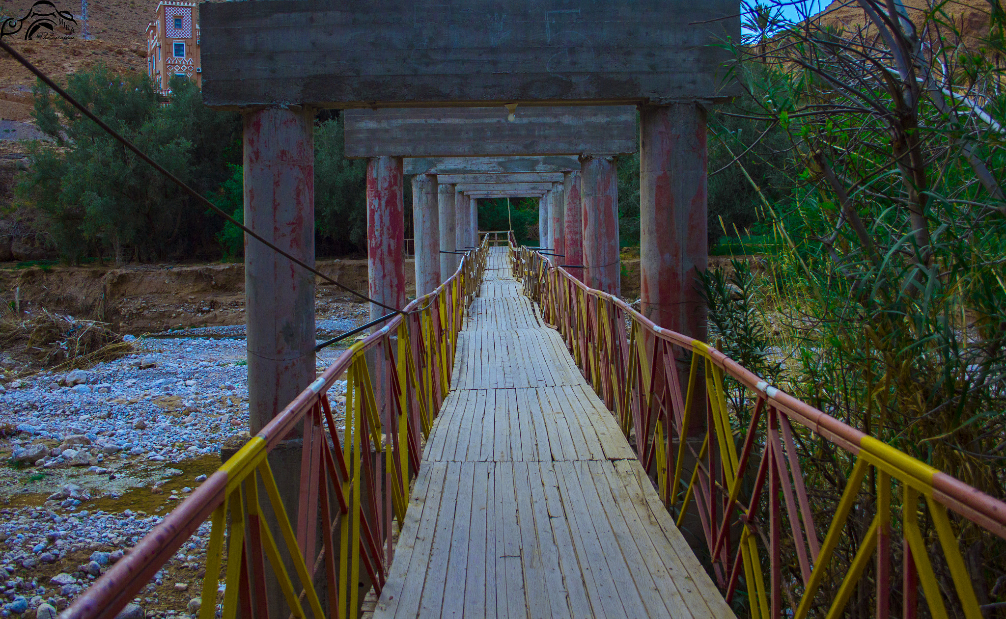 Canon EF-S 18-55mm F3.5-5.6 II sample photo. Mira photography