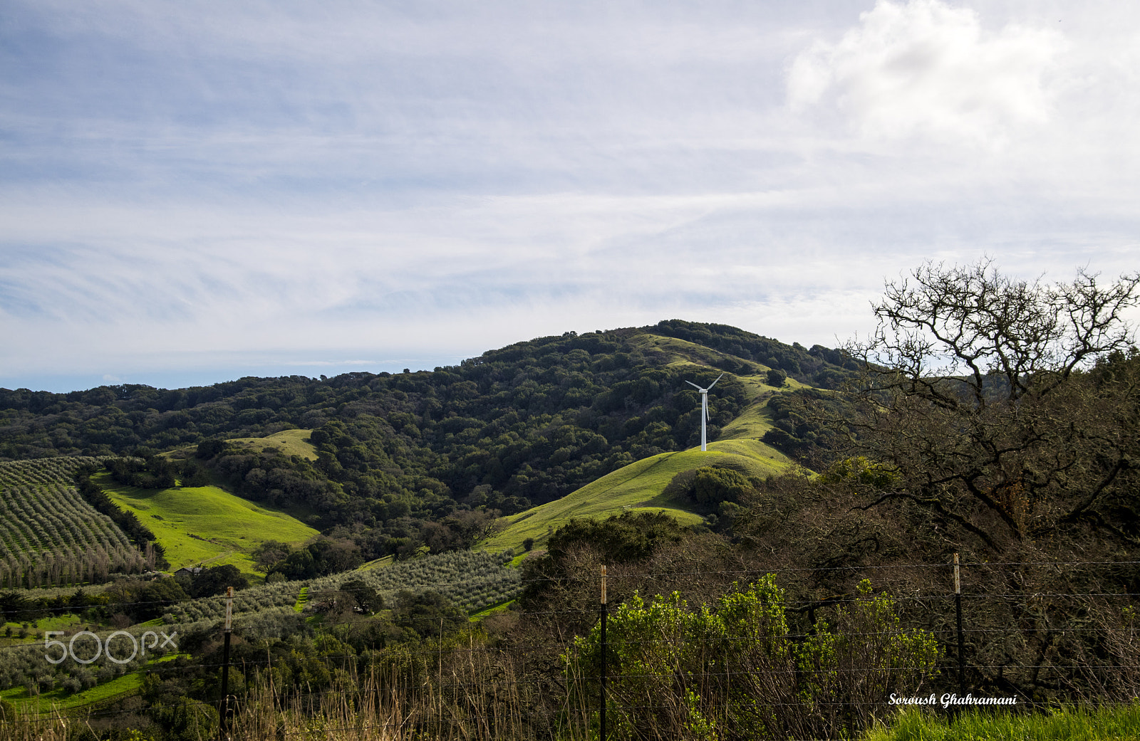 Nikon AF-S Nikkor 24-120mm F4G ED VR sample photo. Marin county landscape photography