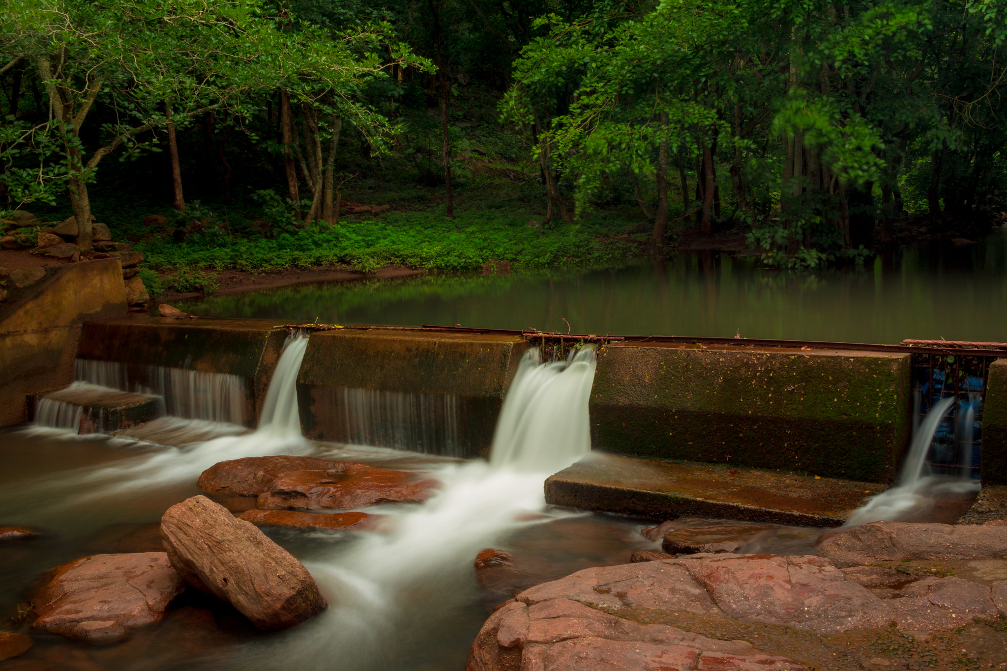 Canon EF-S 24mm F2.8 STM sample photo. Love is natures way of bypassing reasons photography