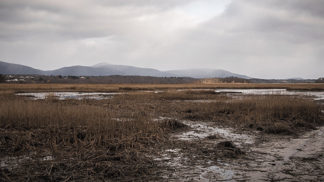 Olympus OM-D E-M10 + Panasonic Lumix G 20mm F1.7 ASPH sample photo. Lowland mountains photography