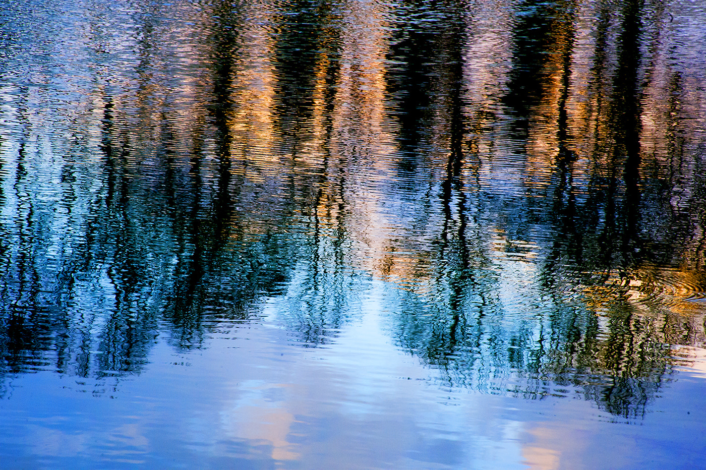 Nikon D4S sample photo. Untitled photography