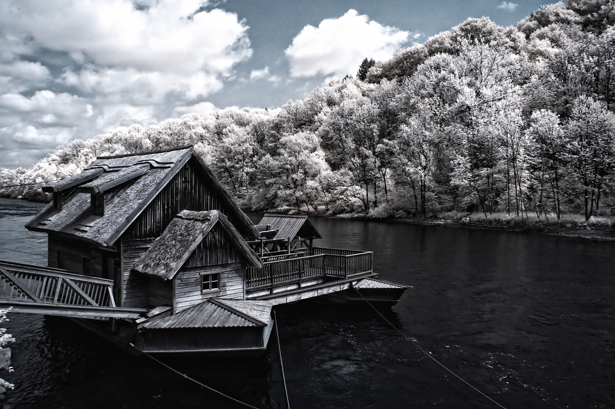 Nikon D70 sample photo. Mureck photography
