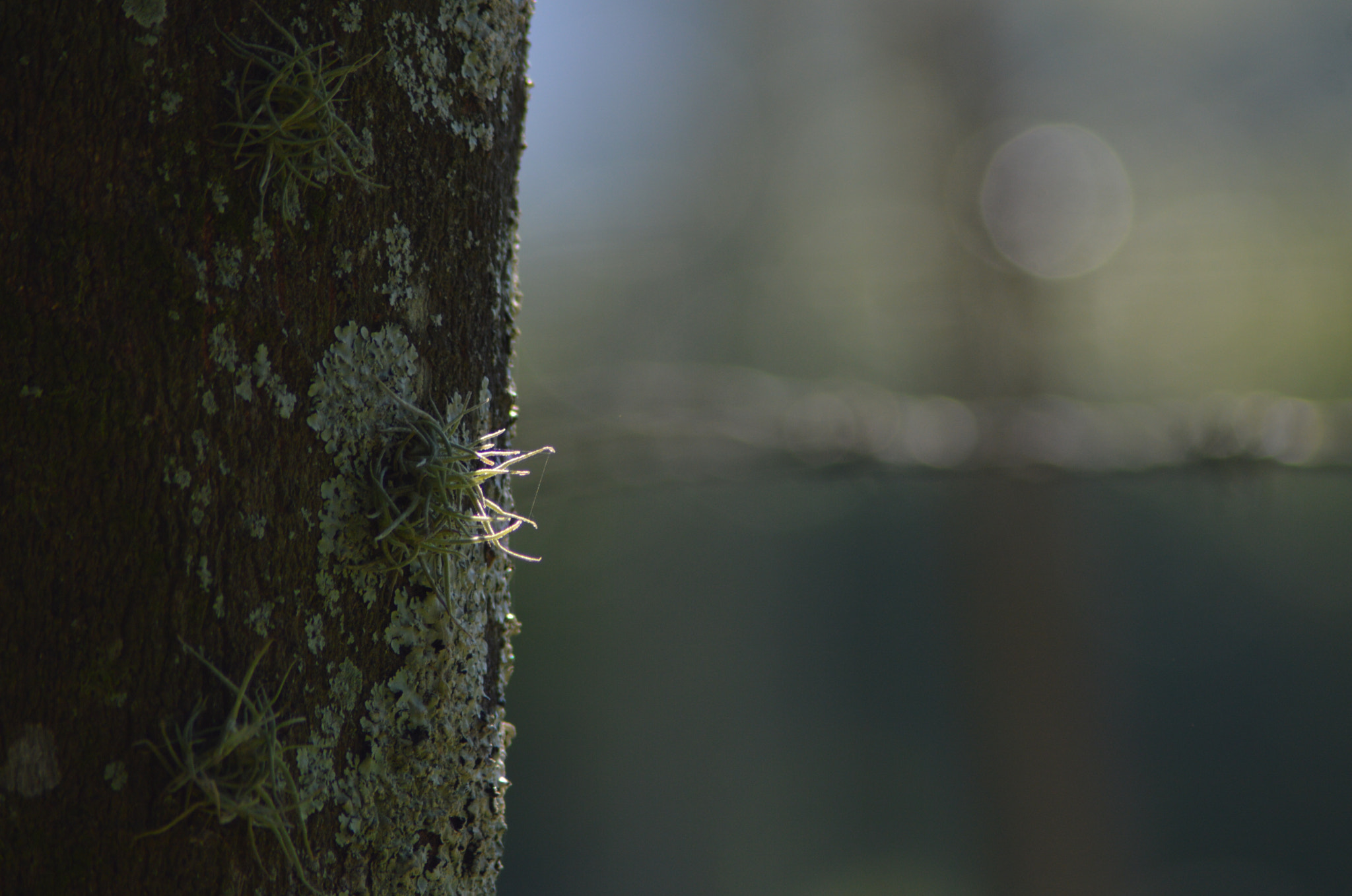 Nikon AF Nikkor 70-300mm F4-5.6G sample photo. Wait a moment... photography