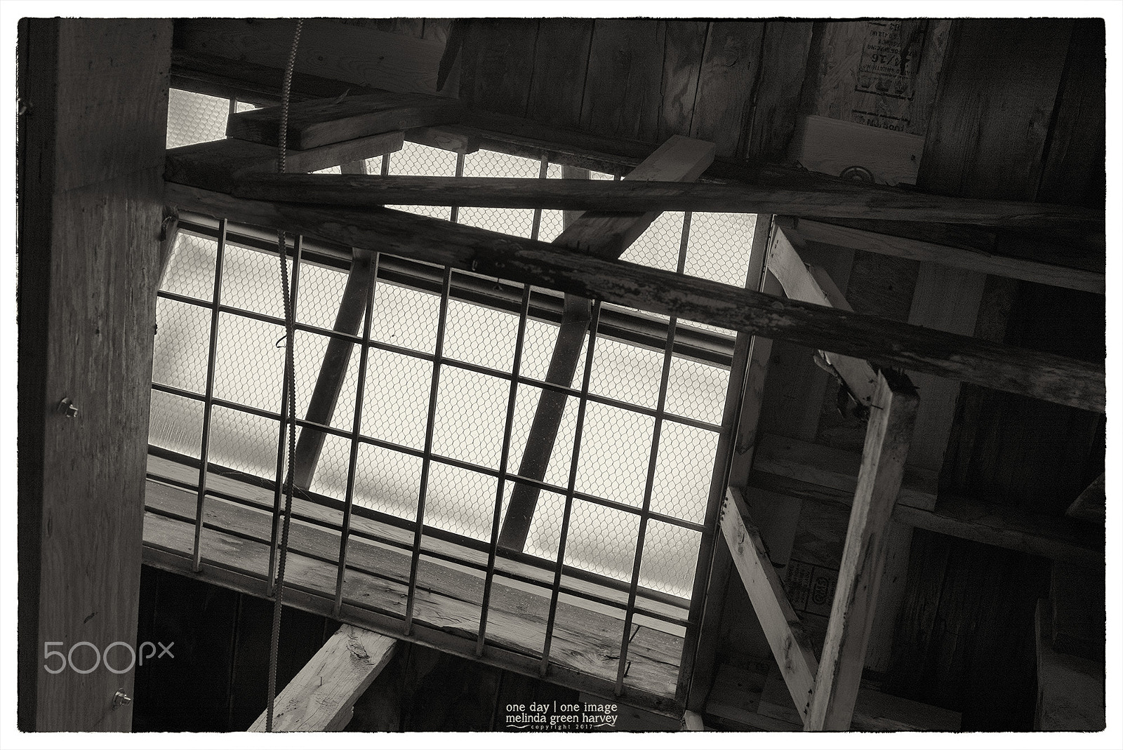 Leica Summarit-M 50mm F2.4 sample photo. Gallery ceiling photography