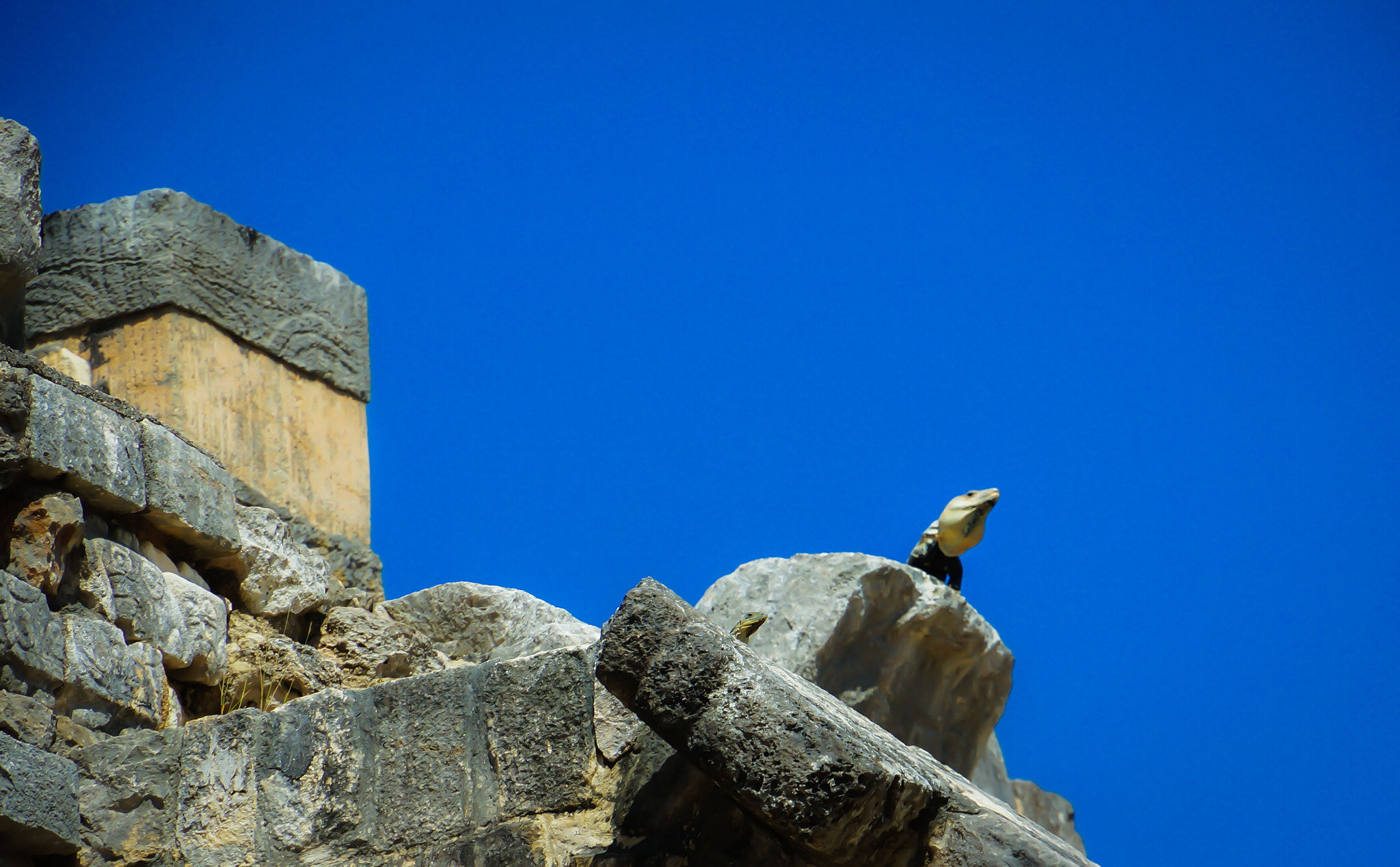 Sony Alpha NEX-5R + Sony E 18-200mm F3.5-6.3 OSS sample photo. Chichen itza photography