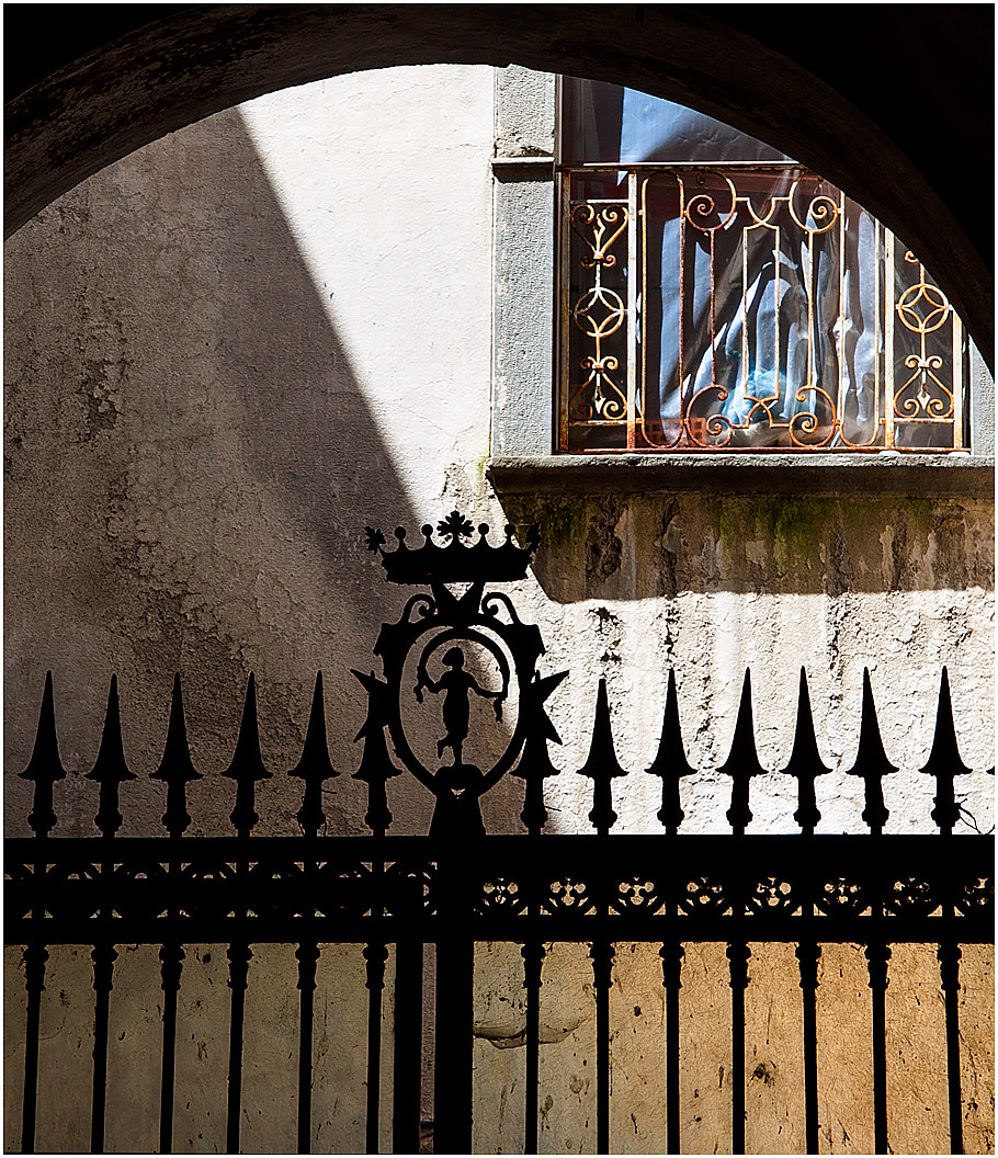 Canon EF-S 17-85mm F4-5.6 IS USM sample photo. Wrought iron gate photography